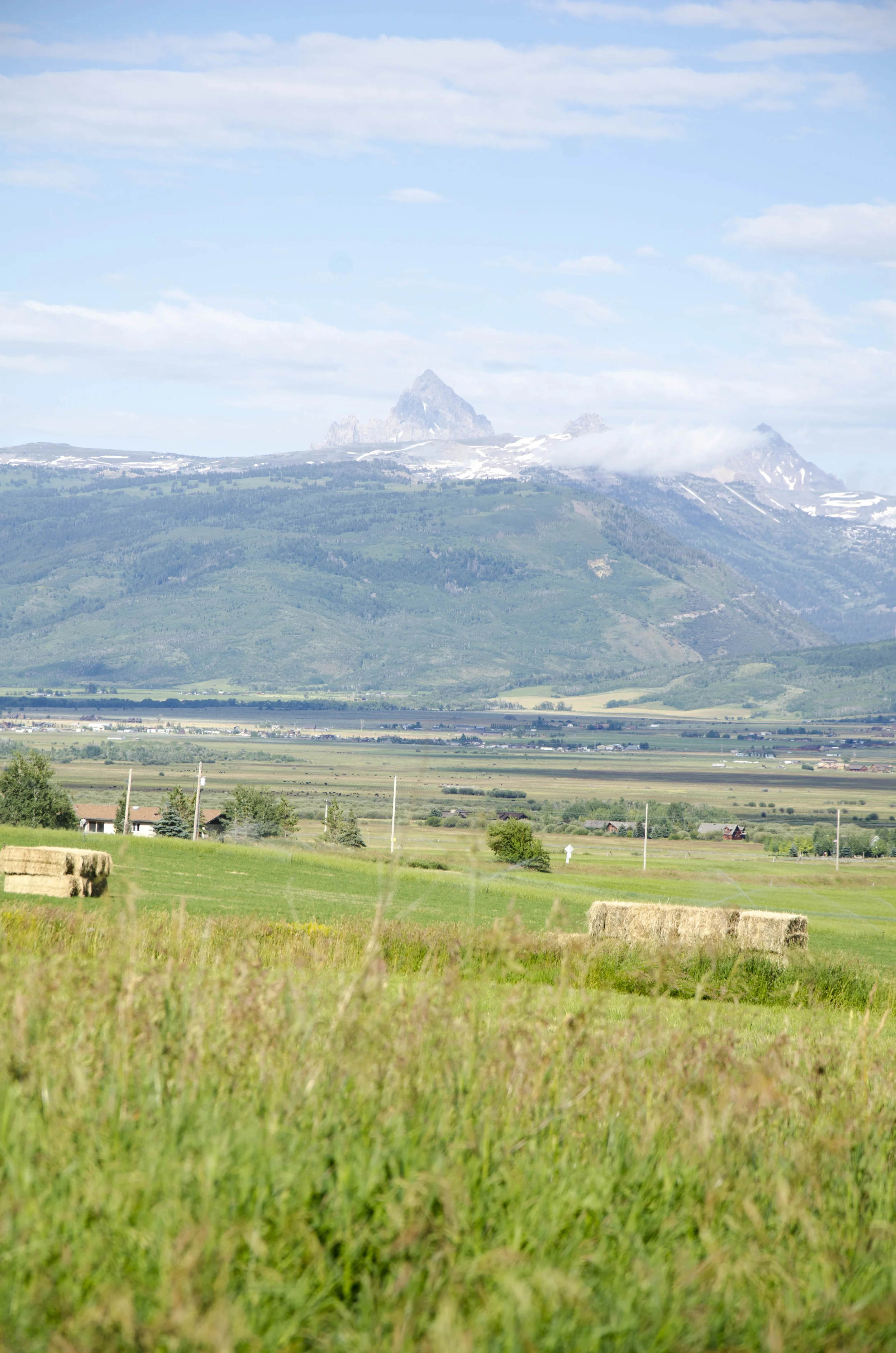 Day 8: The land that I fell in love with... oh, Idaho