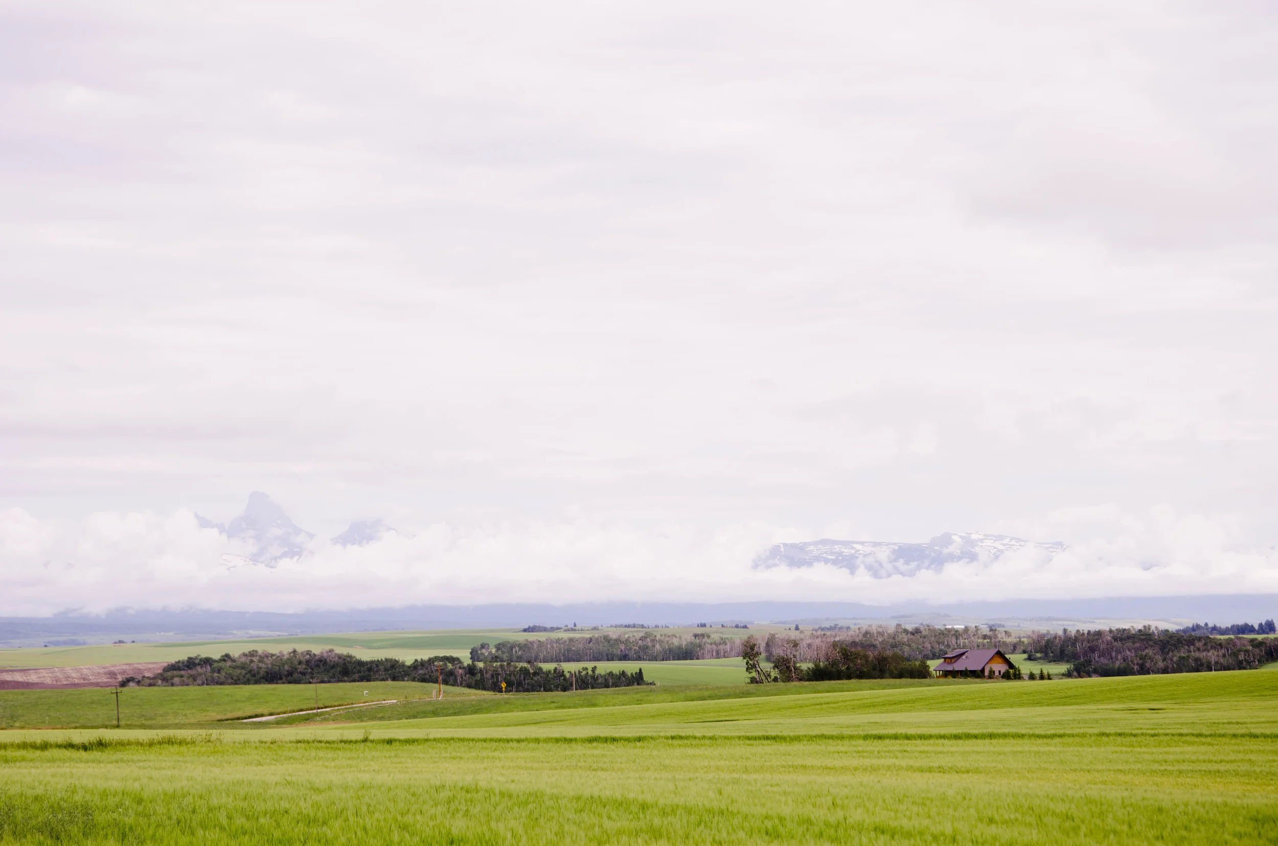 Day 8: The land that I fell in love with... oh, Idaho