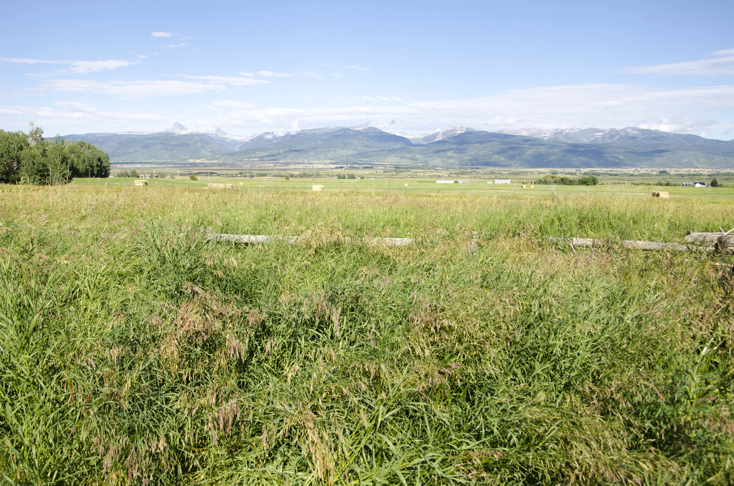 Day 8: The land that I fell in love with... oh, Idaho