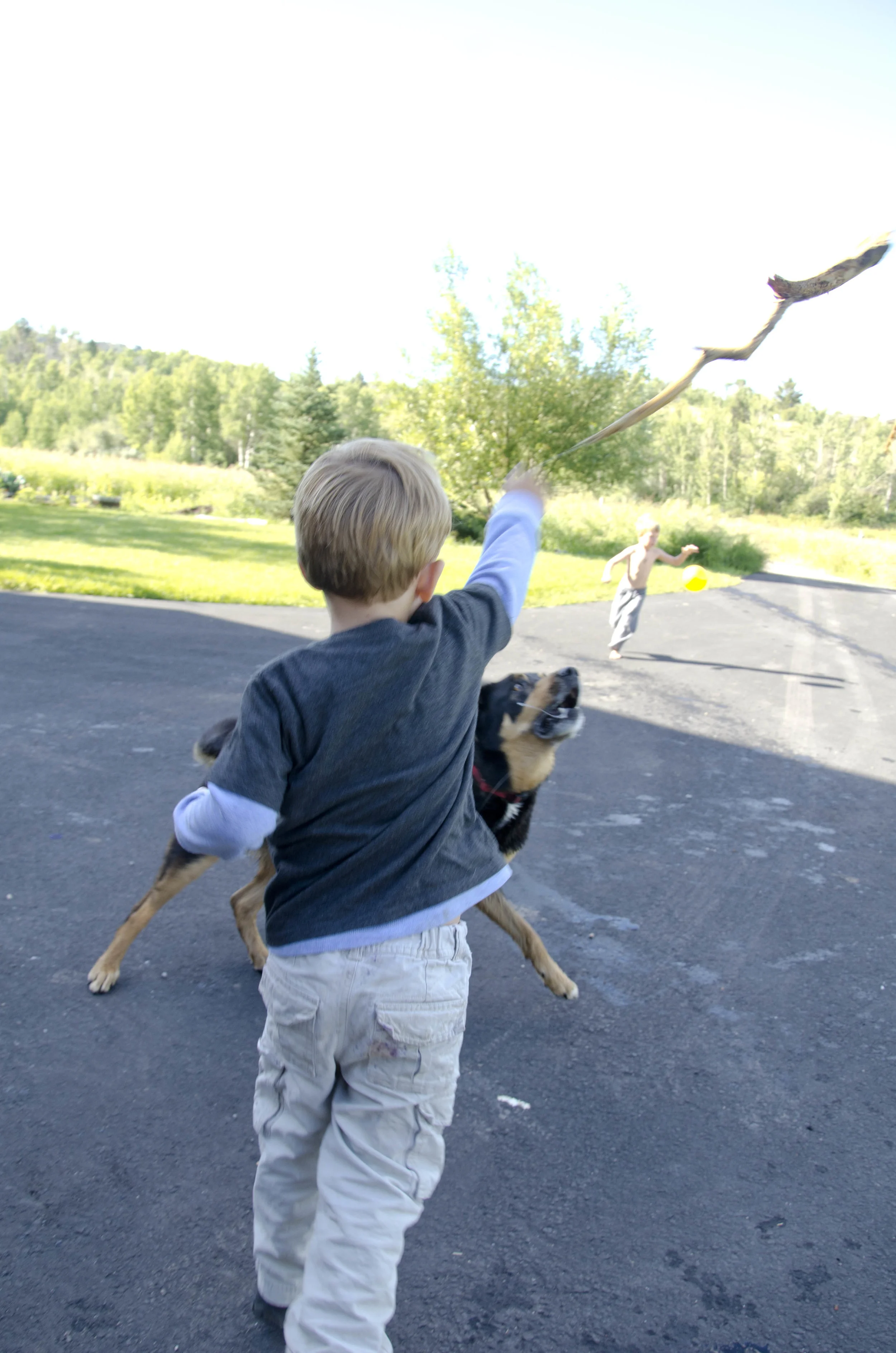 Day 8: The land that I fell in love with... oh, Idaho