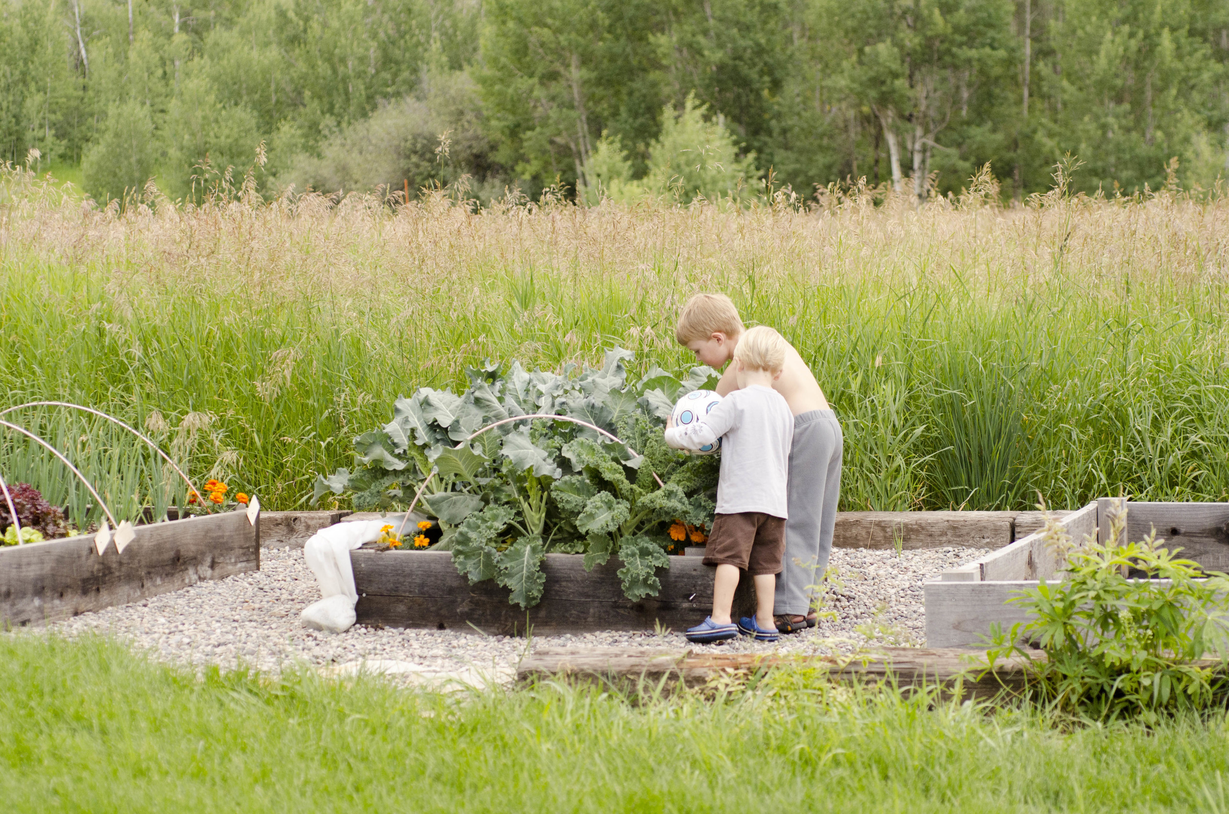 Day 8: The land that I fell in love with... oh, Idaho