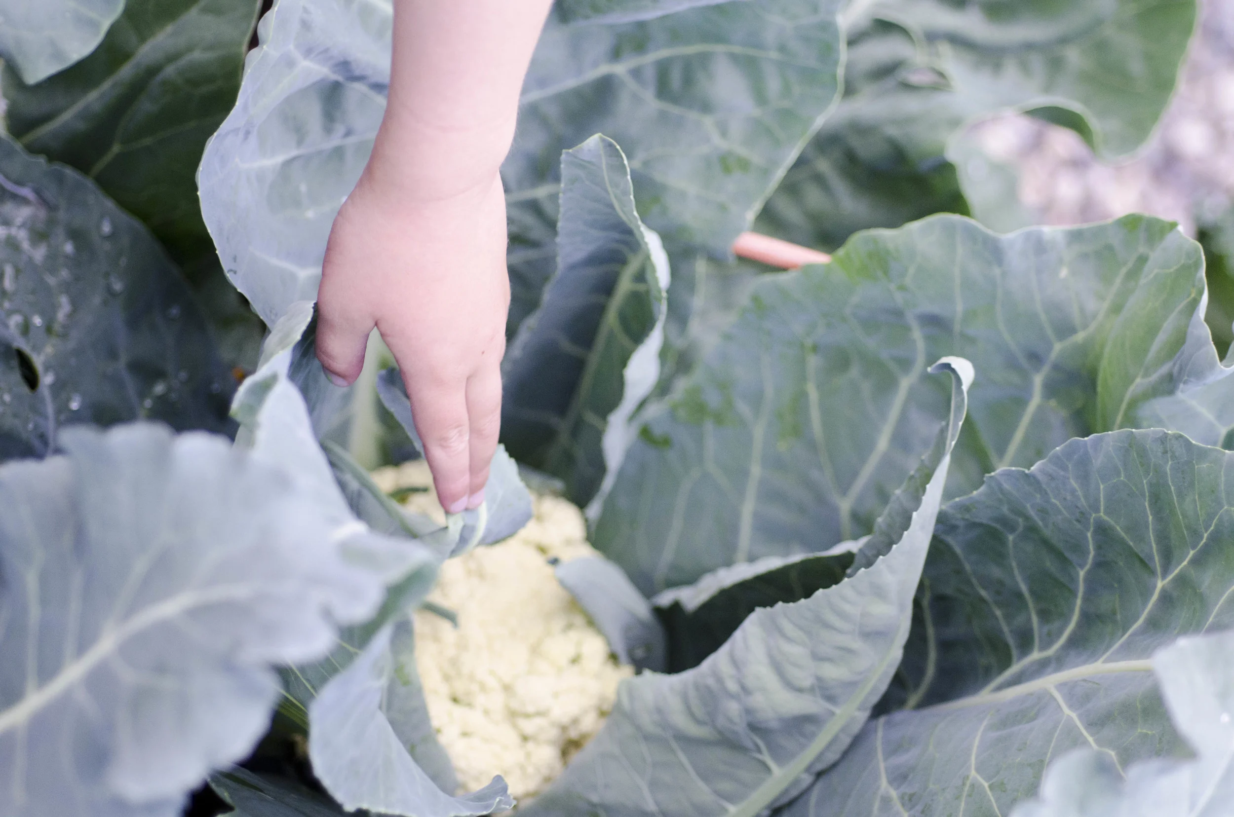 Day 8: The land that I fell in love with... oh, Idaho