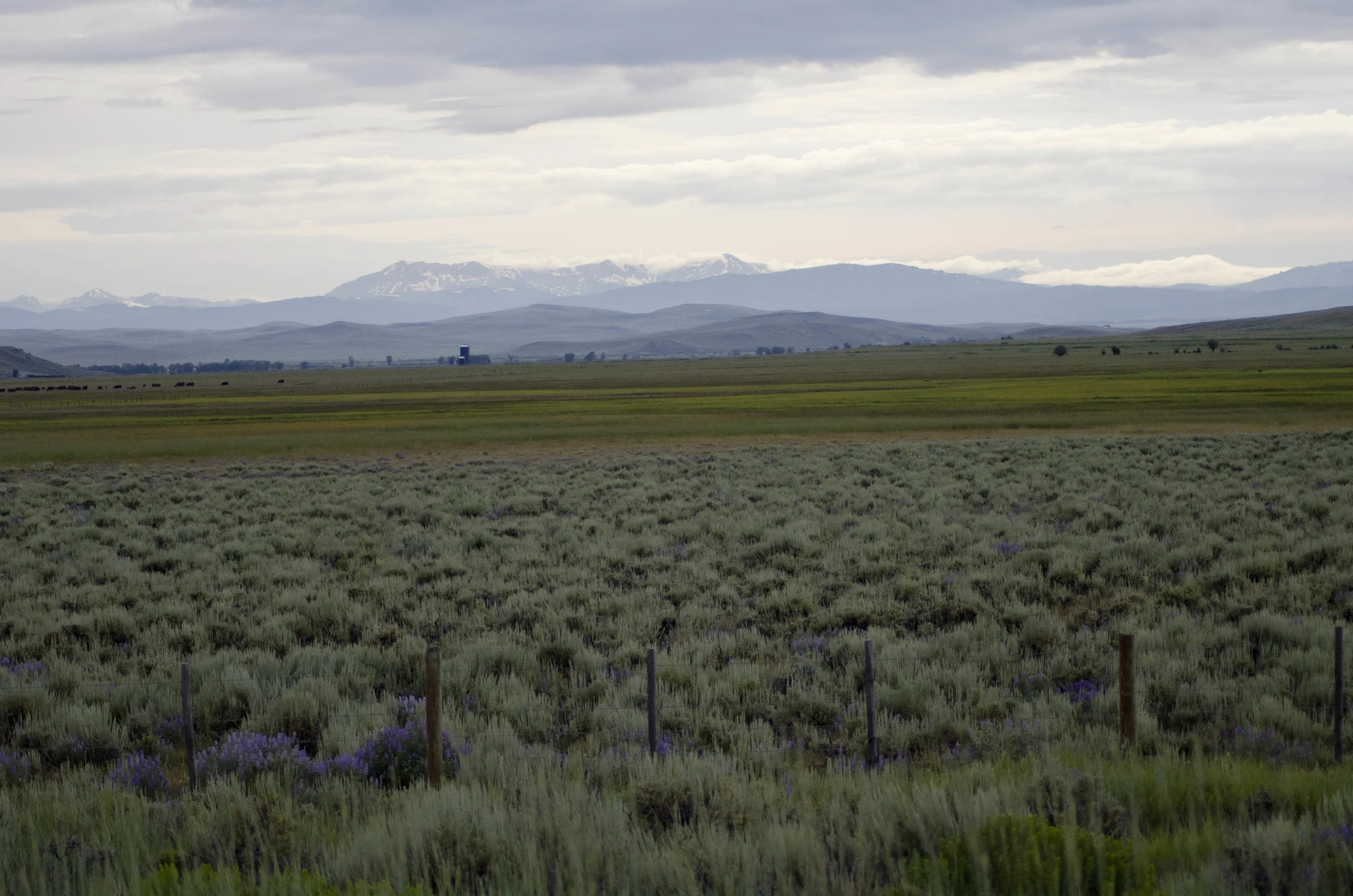 Day 7: 643 miles and 2 states