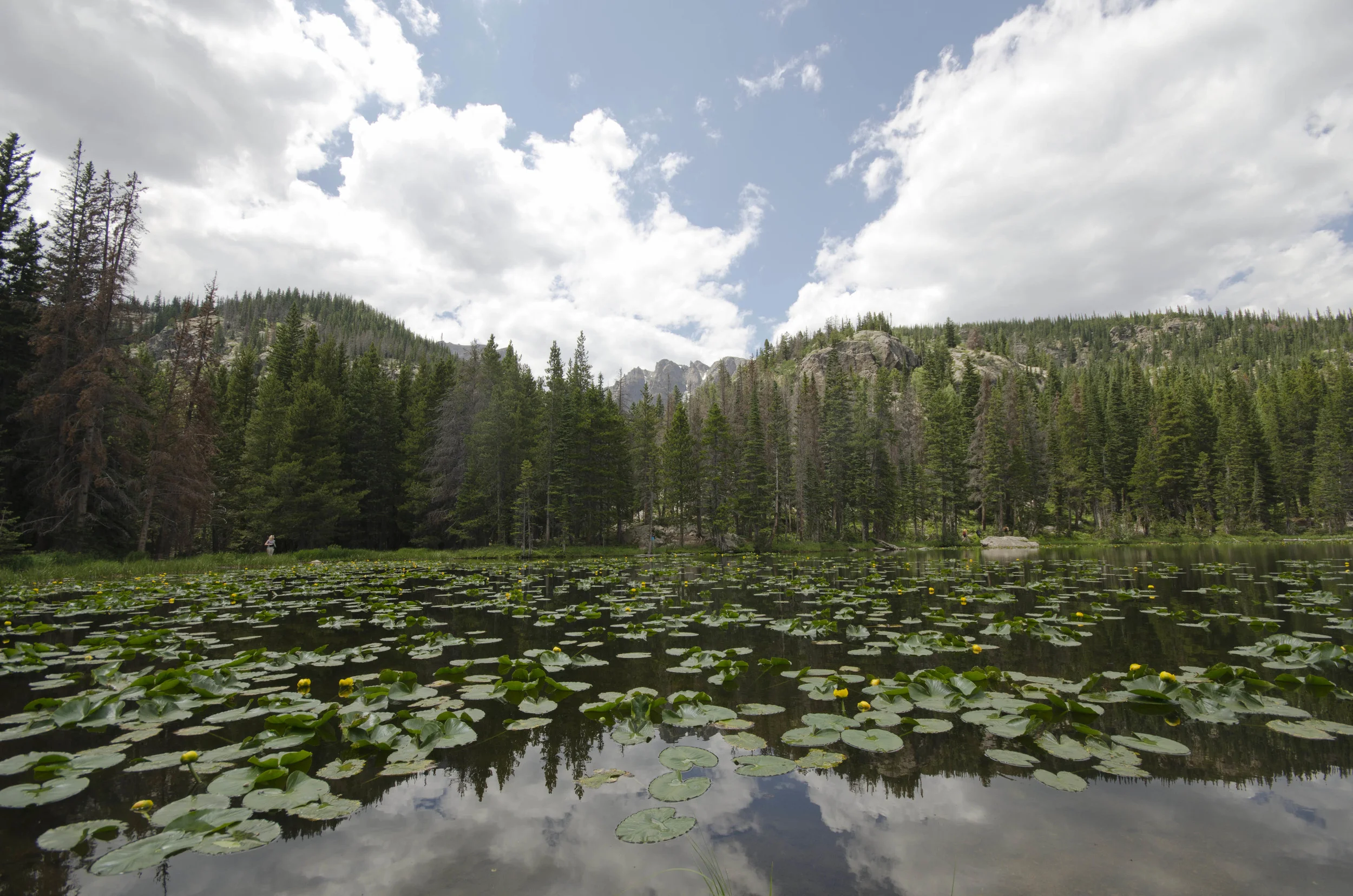 Day 6: Hiking in the Rockies, take 2