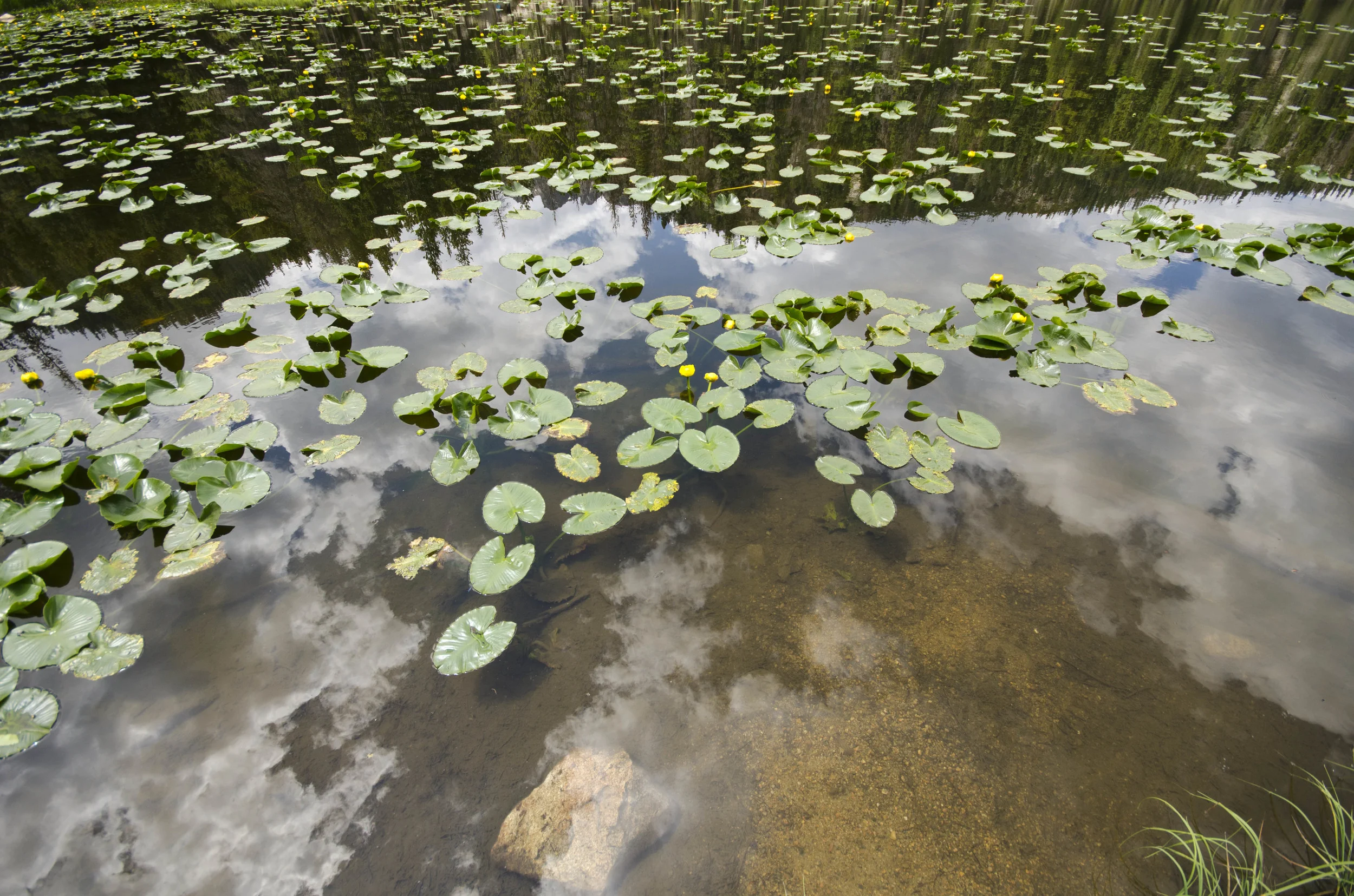 Day 6: Hiking in the Rockies, take 2