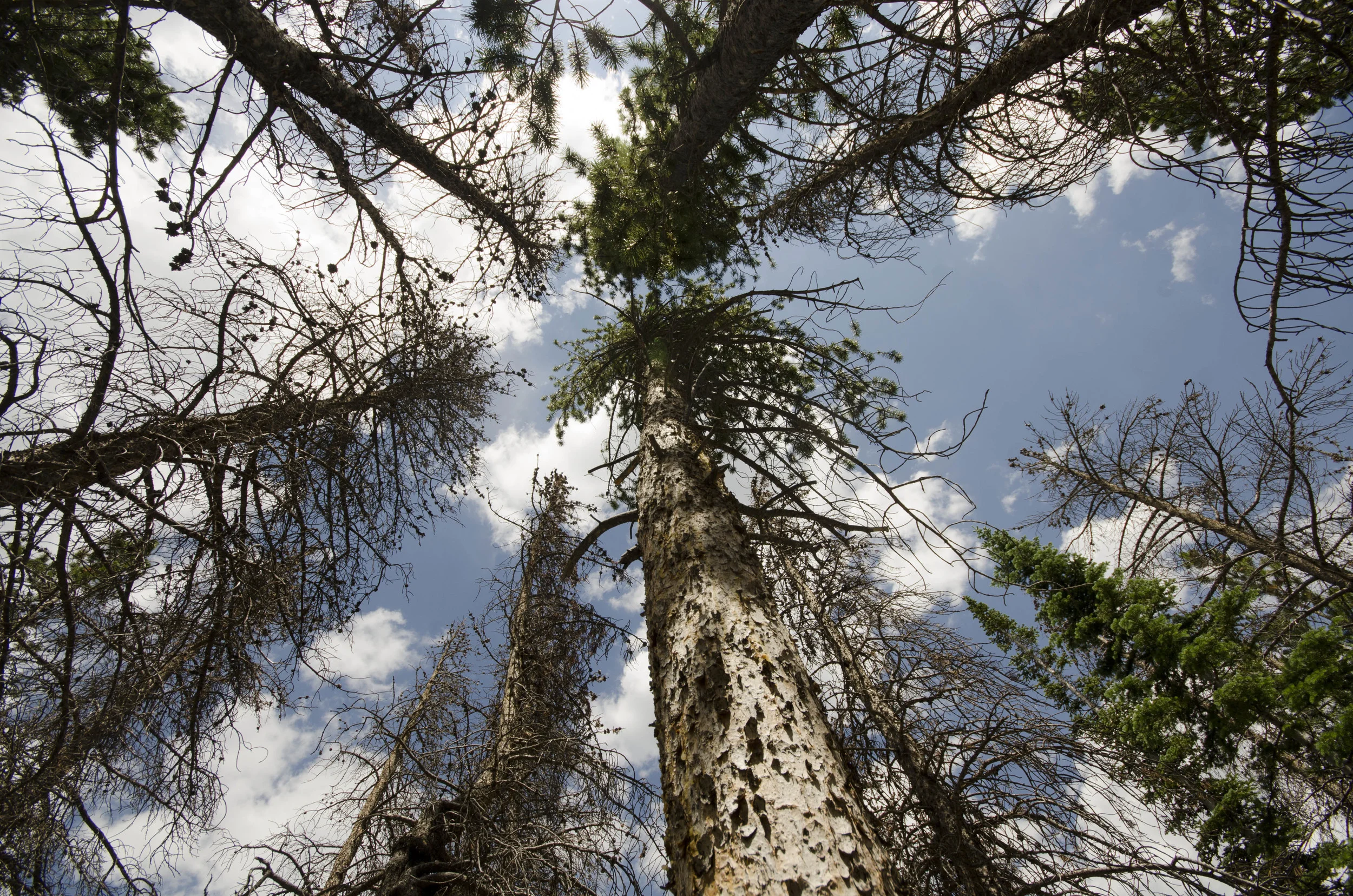 Day 6: Hiking in the Rockies, take 2