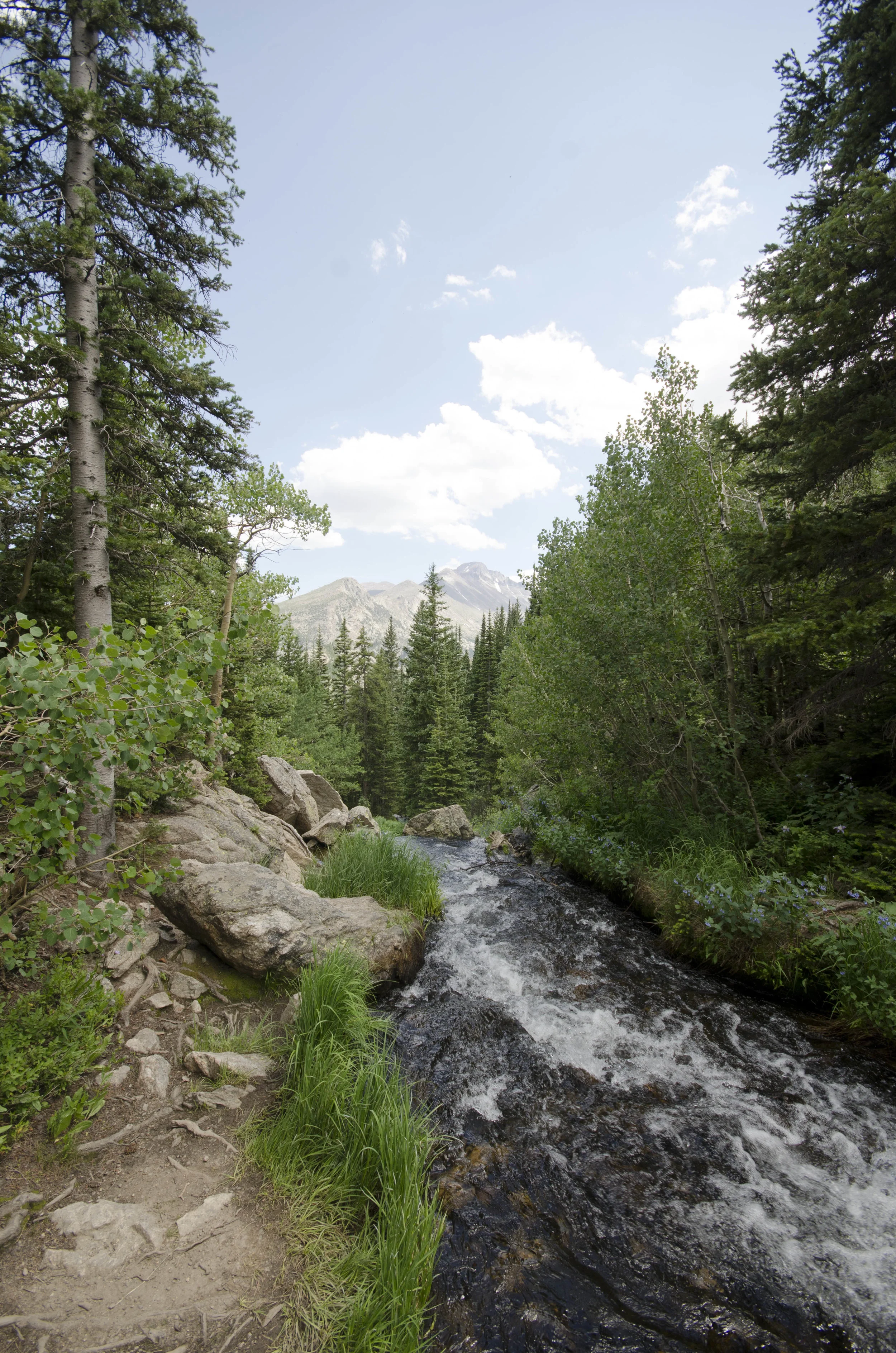 Day 6: Hiking in the Rockies, take 2