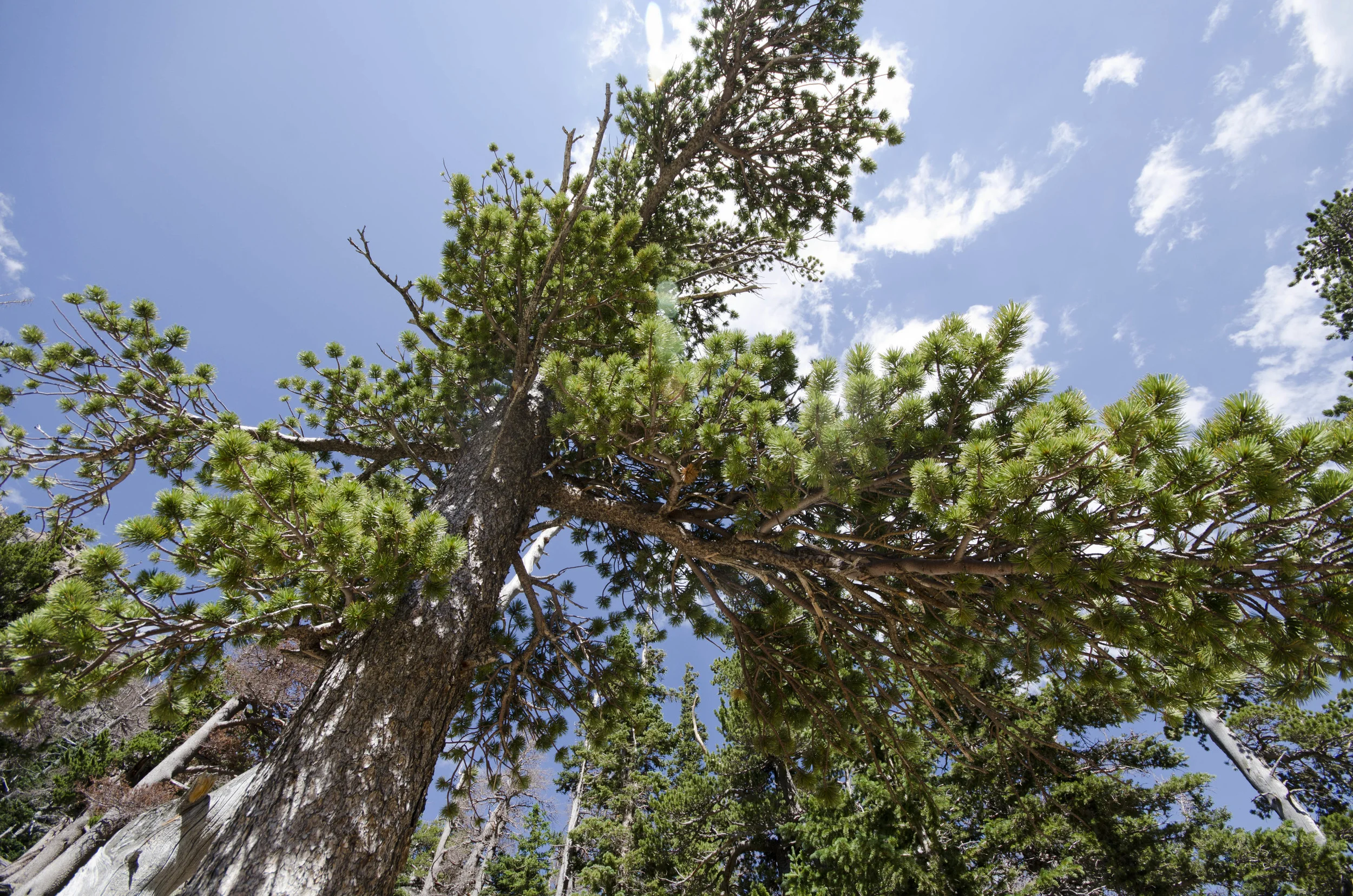 Day 6: Hiking in the Rockies, take 2