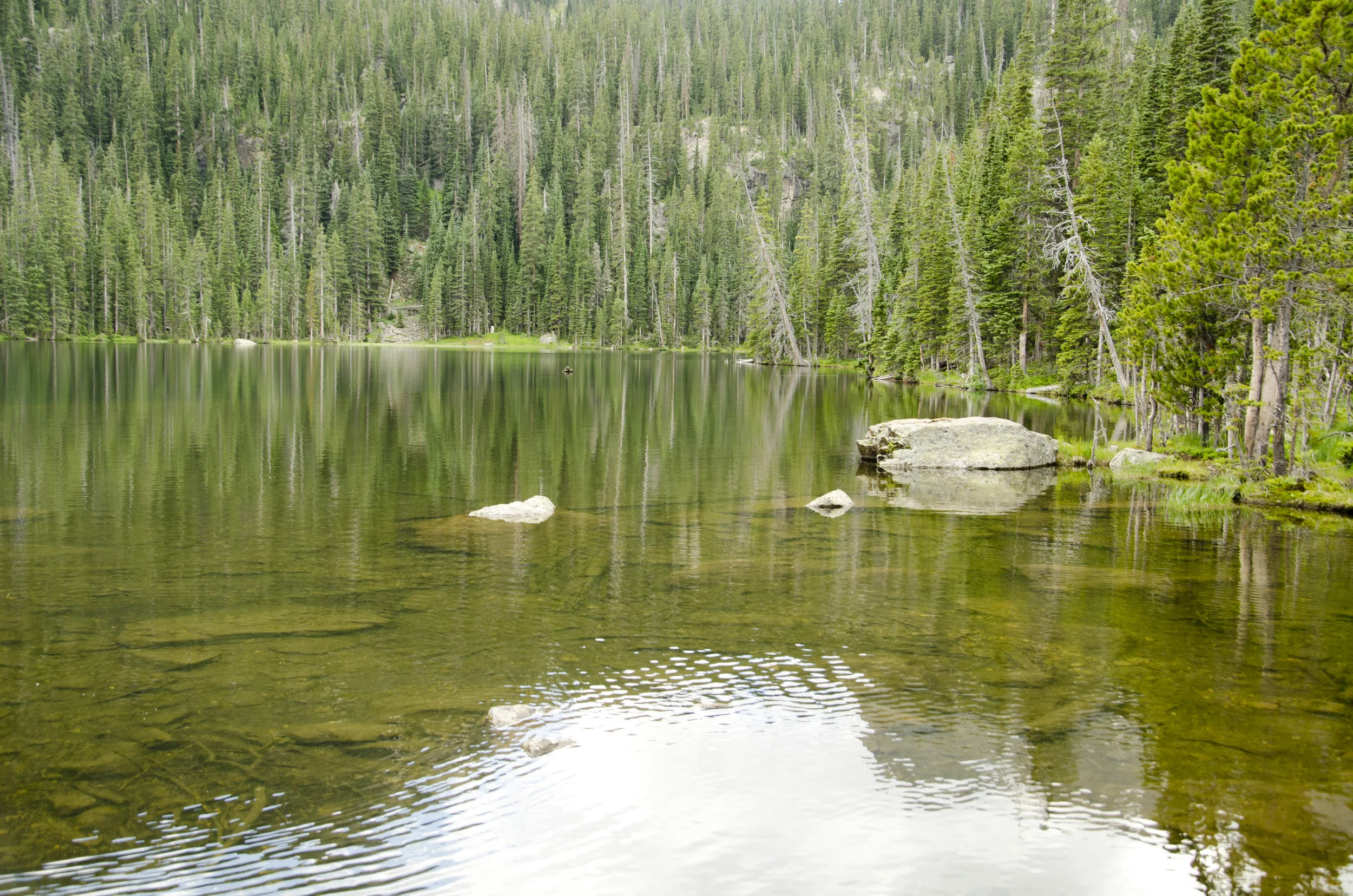 Day 5: Hiking in the Rockies