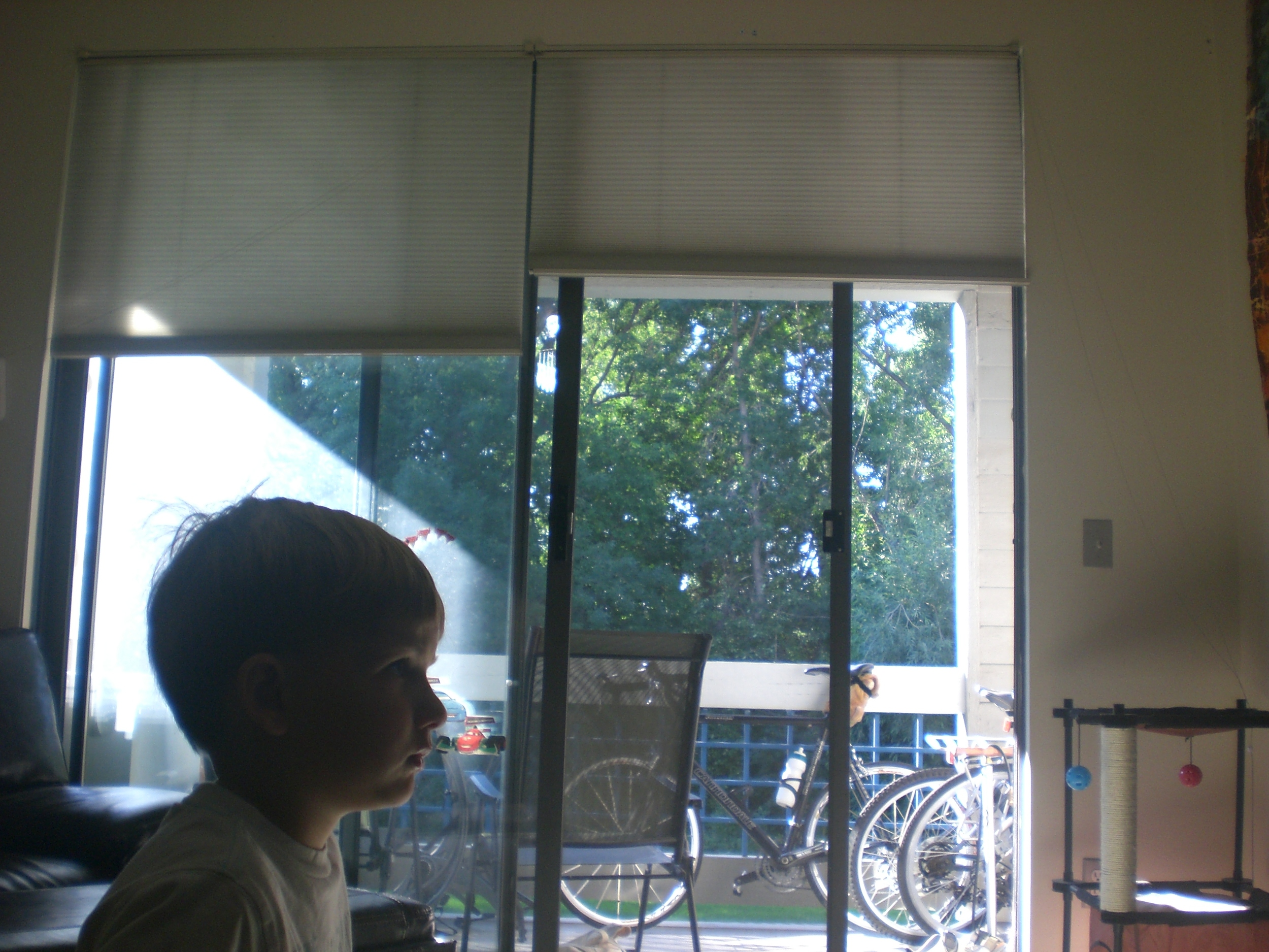 Day 4 from the kids' perspective