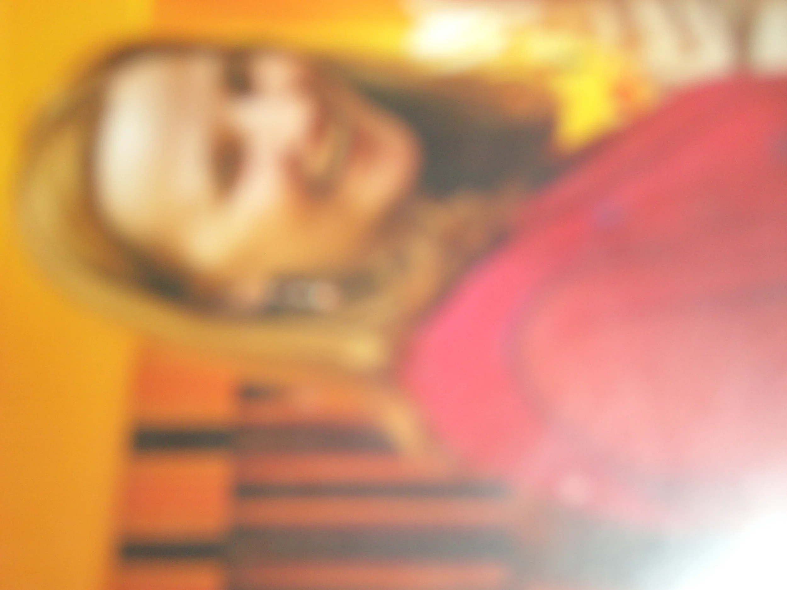 Day 4 from the kids' perspective