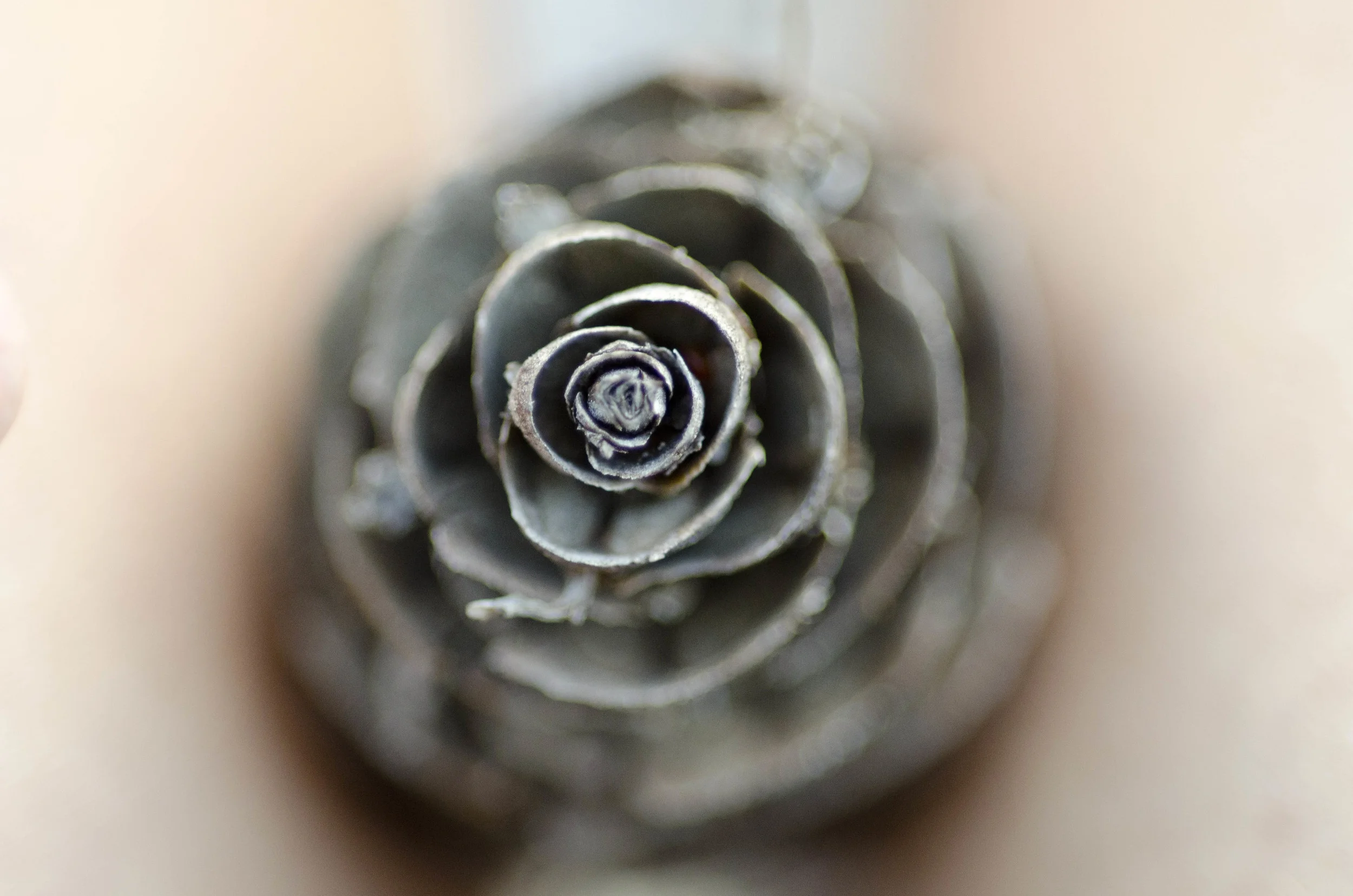 Day 4: Paul's 68 miles on a bike; the rest of us went <1; Boulder, CO