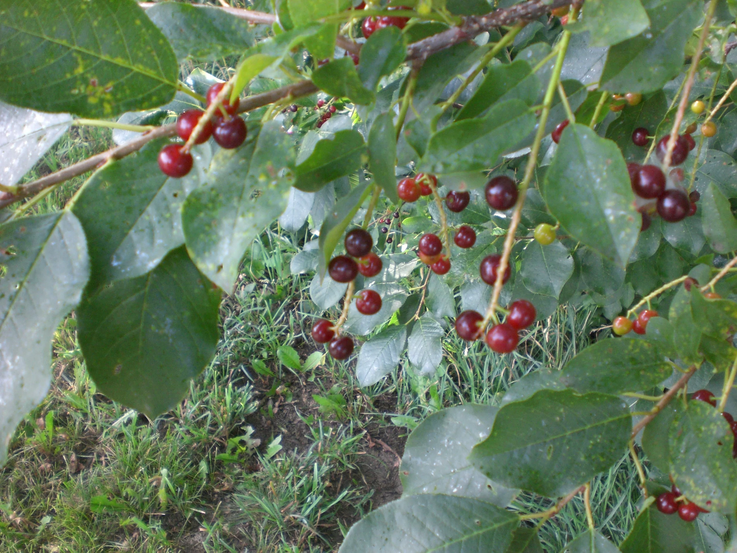 Day 3 from the kids' perspective