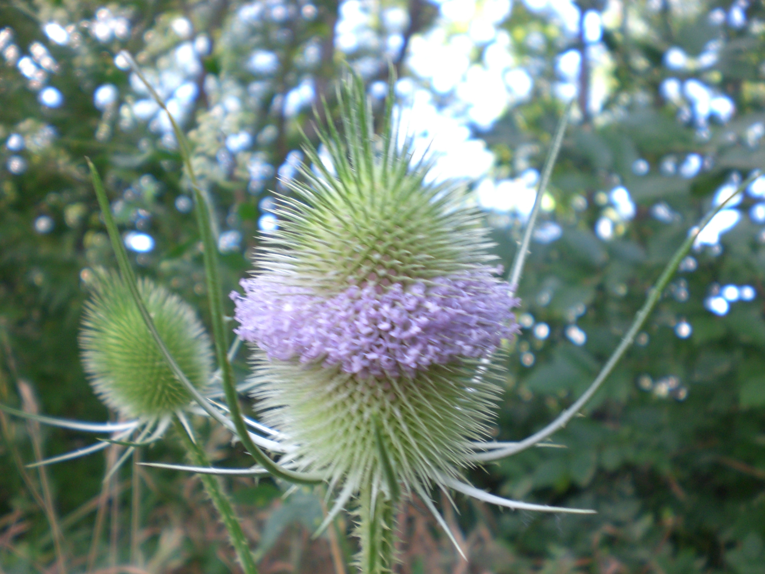 Day 3 from the kids' perspective