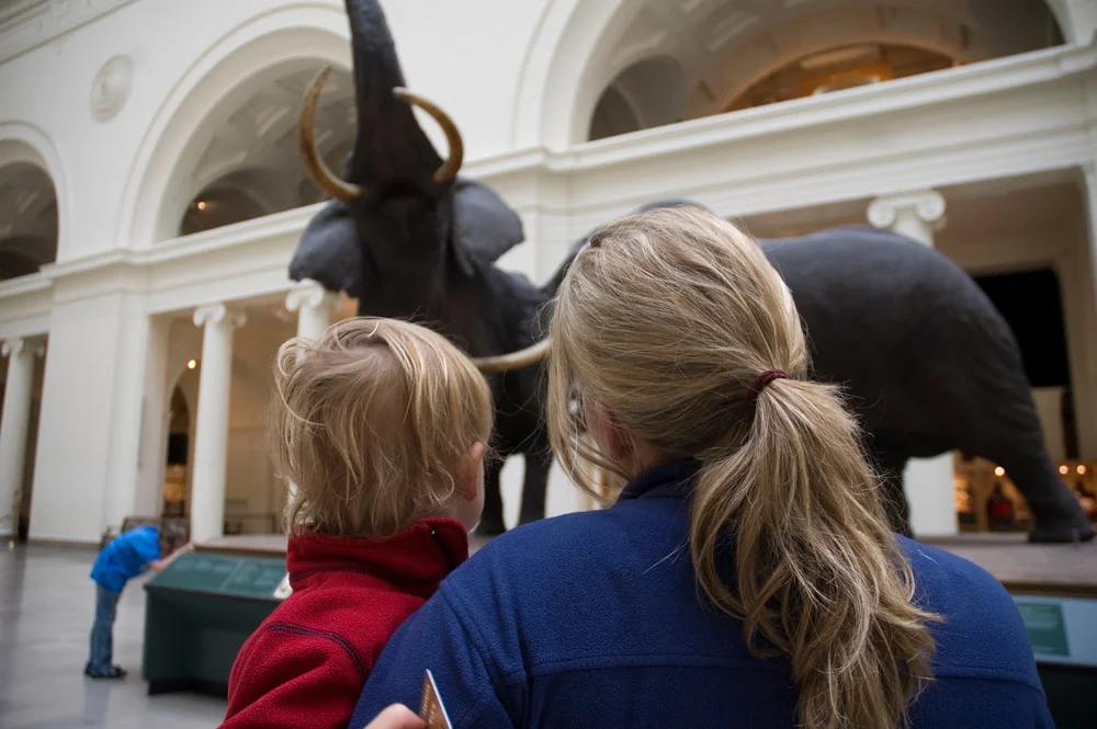 A photography promise