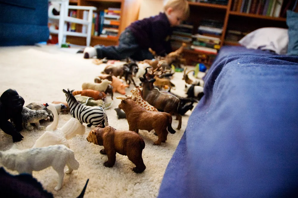 A photography promise