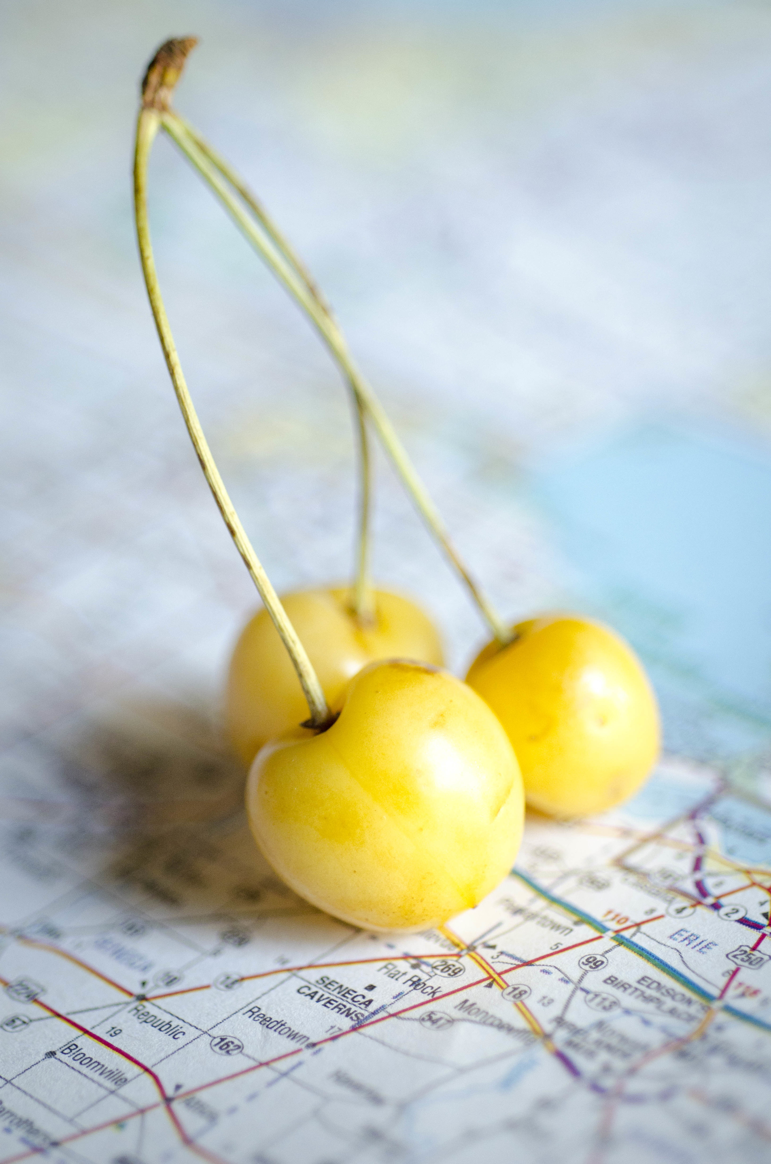 The 2011 Cherry Season