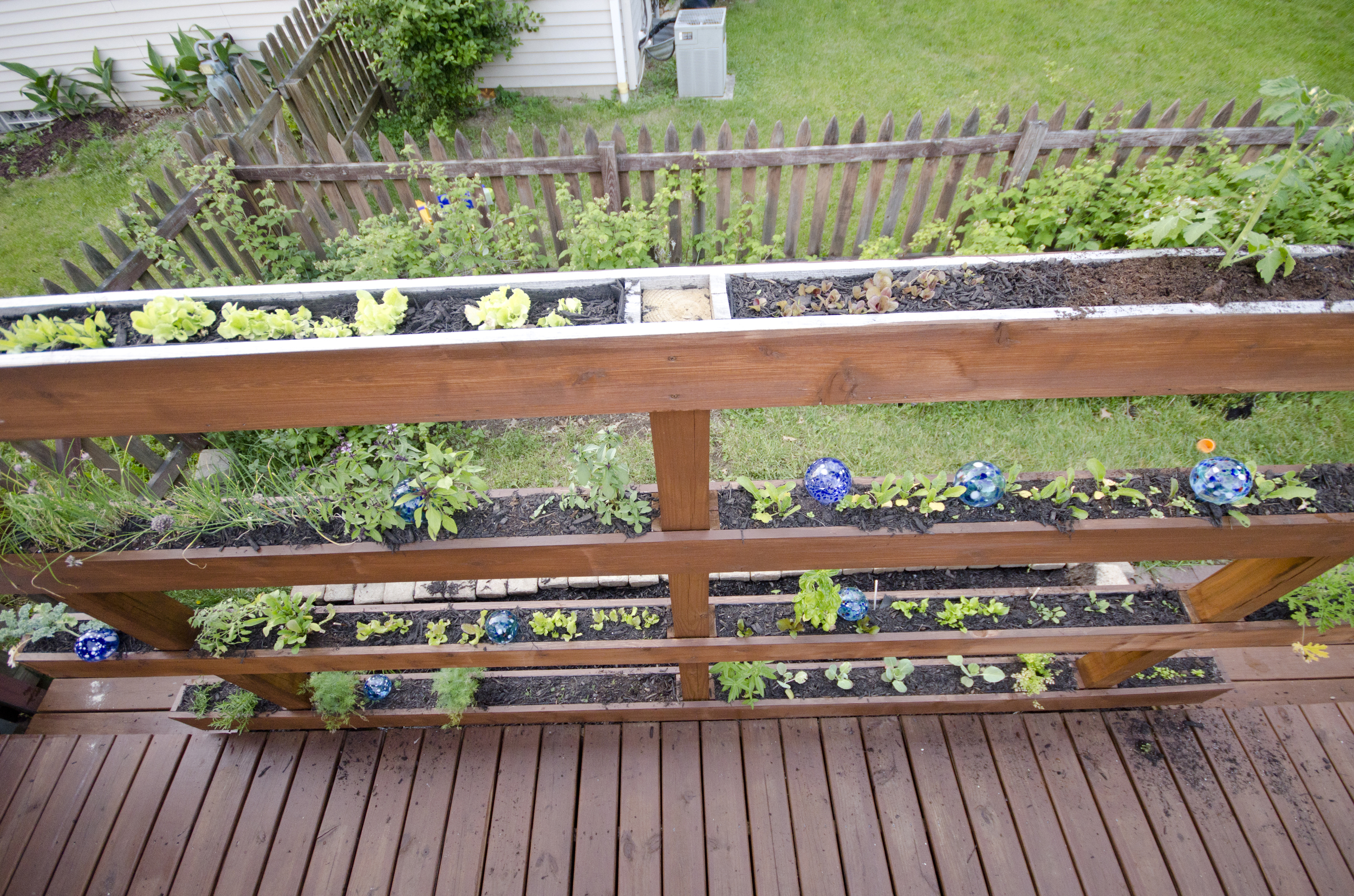 How does your garden grow? UP!