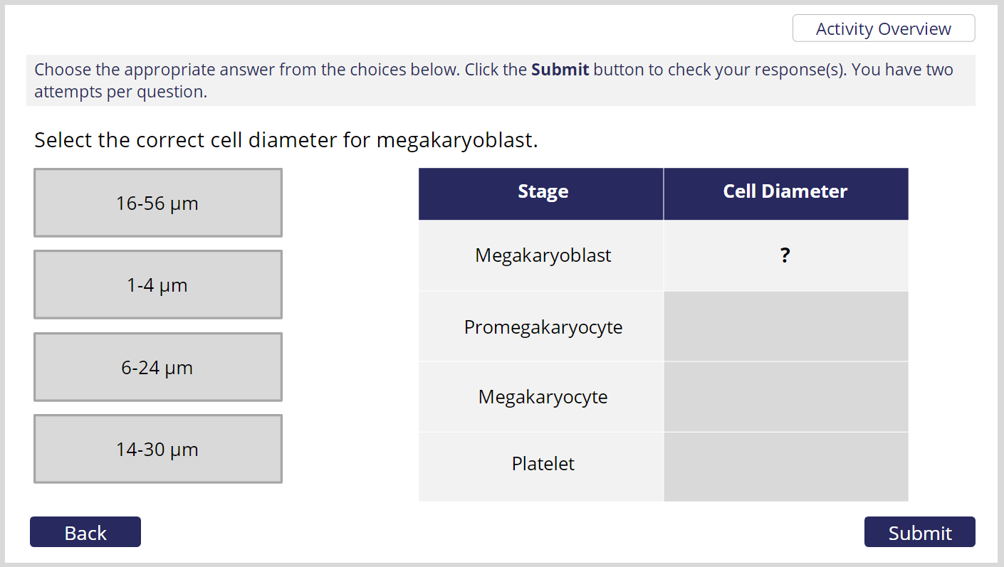  Example of a Matching learning object built in Storyline 