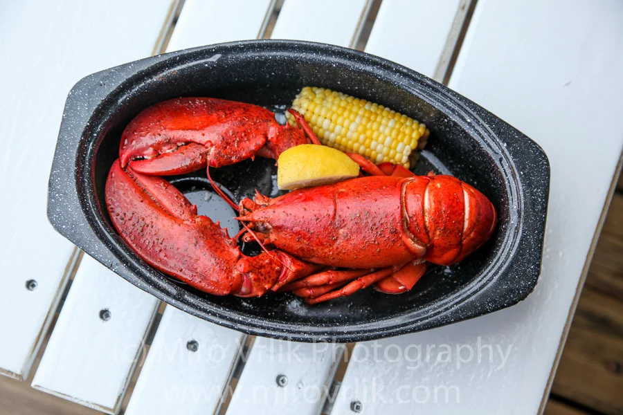 Traditional Maine lobster plate