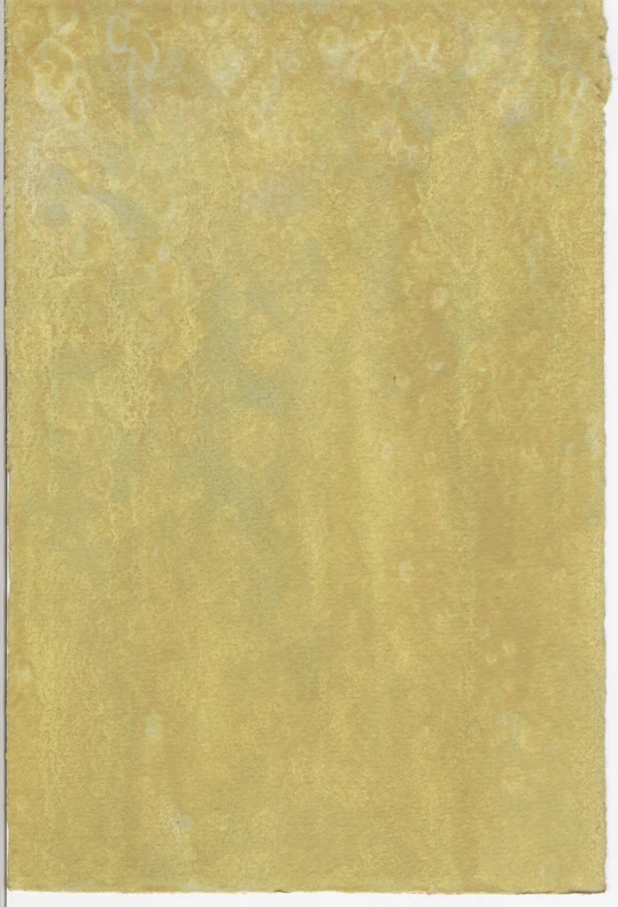 Walls on Paper small 17.jpg