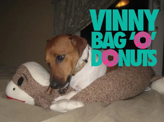 vinny-dog-donuts.jpg