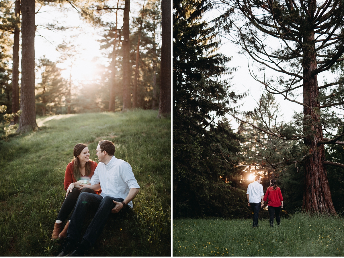 Diptych with couple cuddling in grassy glen and couple walking towards sun soaked trees
