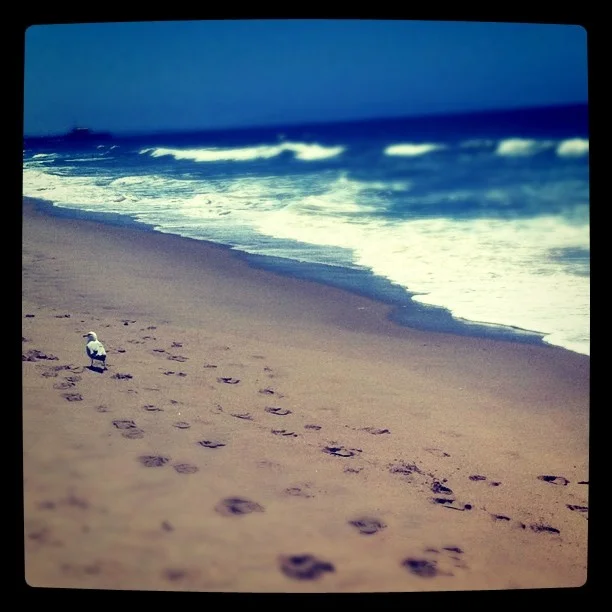Taken with Instagram at Santa Monica Beach, CA