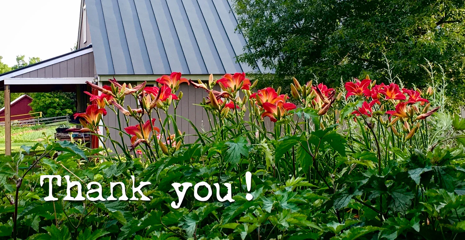 ThankyouFlowers.jpg