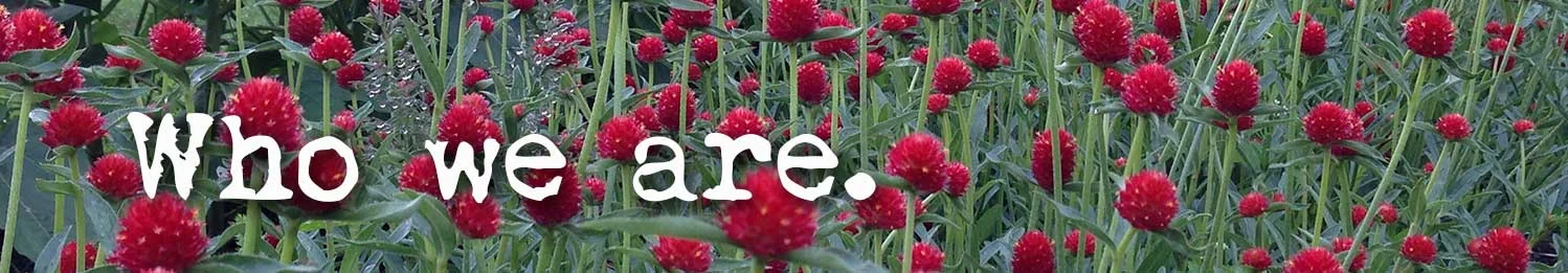 Gomphrena-who-we-are-text_OPT.jpg