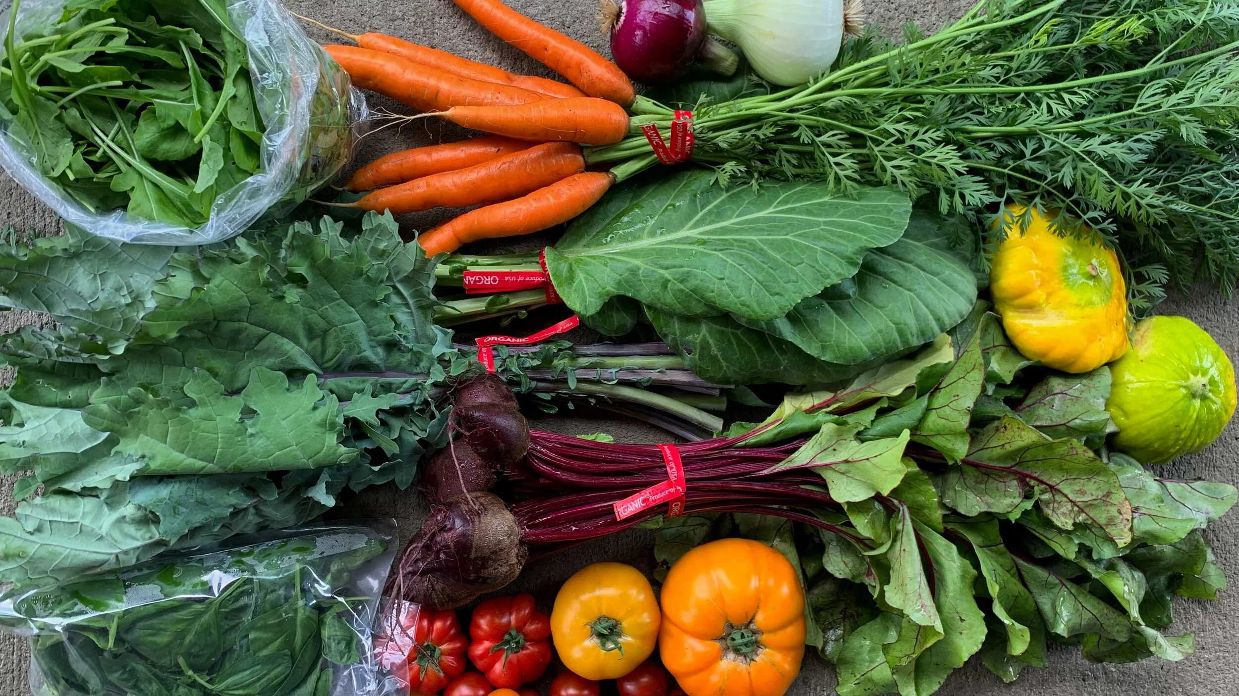 Red Shirt Farm — CSA