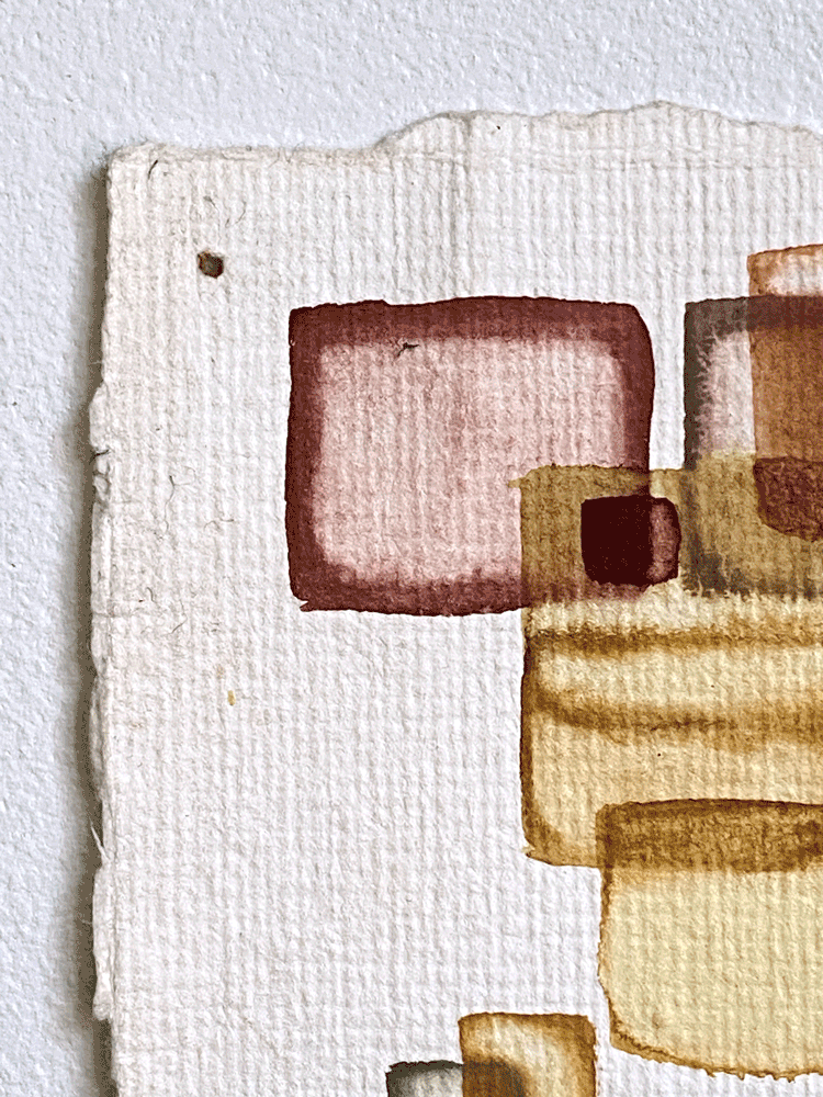 Zambia0014-DETAIL-01.gif