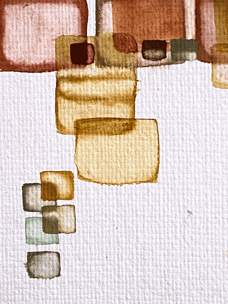 Zambia0014-DETAIL-03.gif
