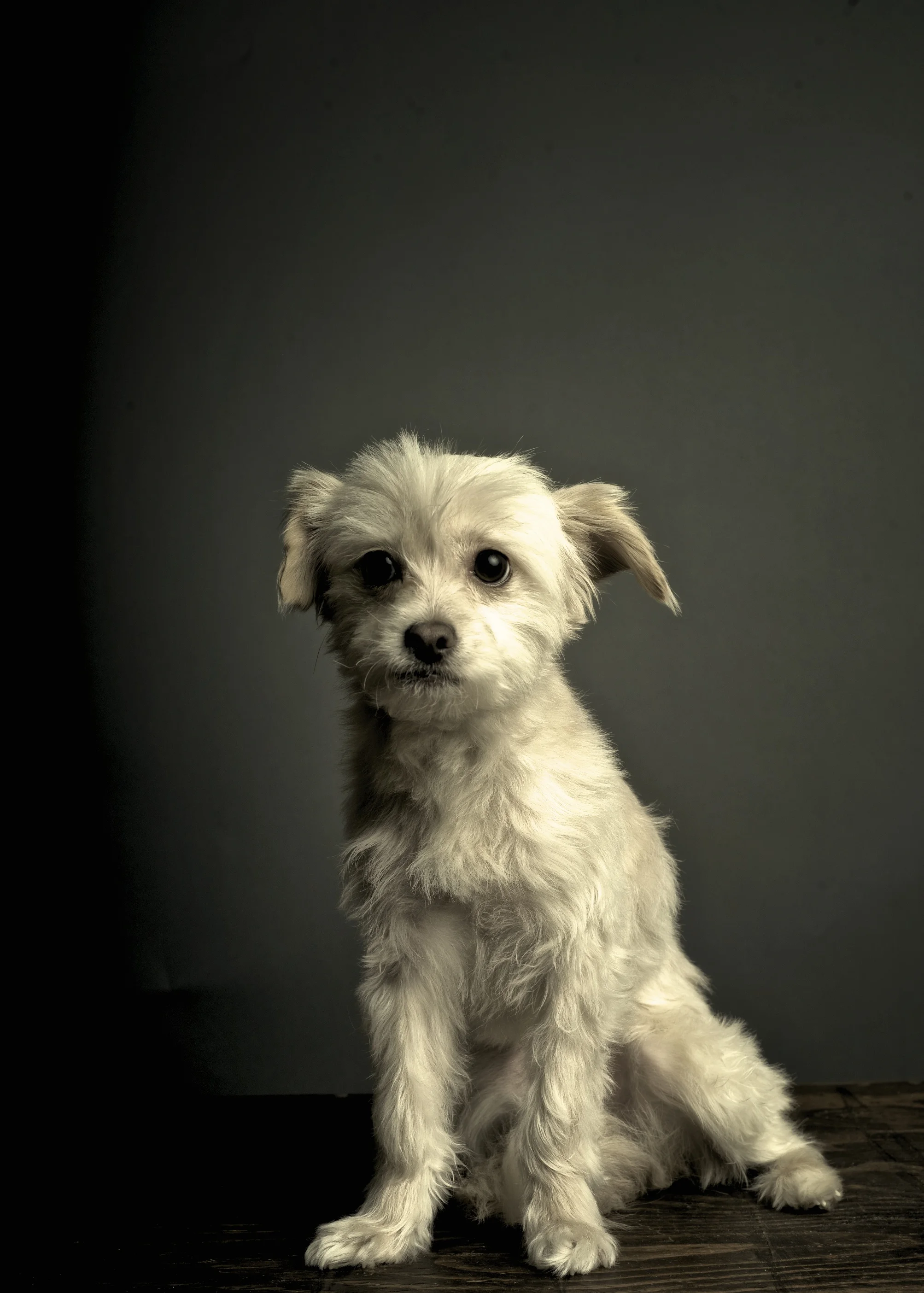 Charly