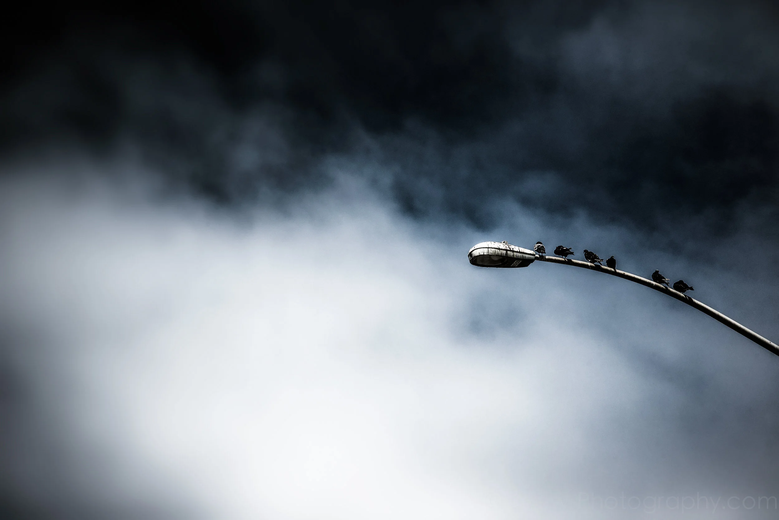 ROC_2649-Edit.jpg