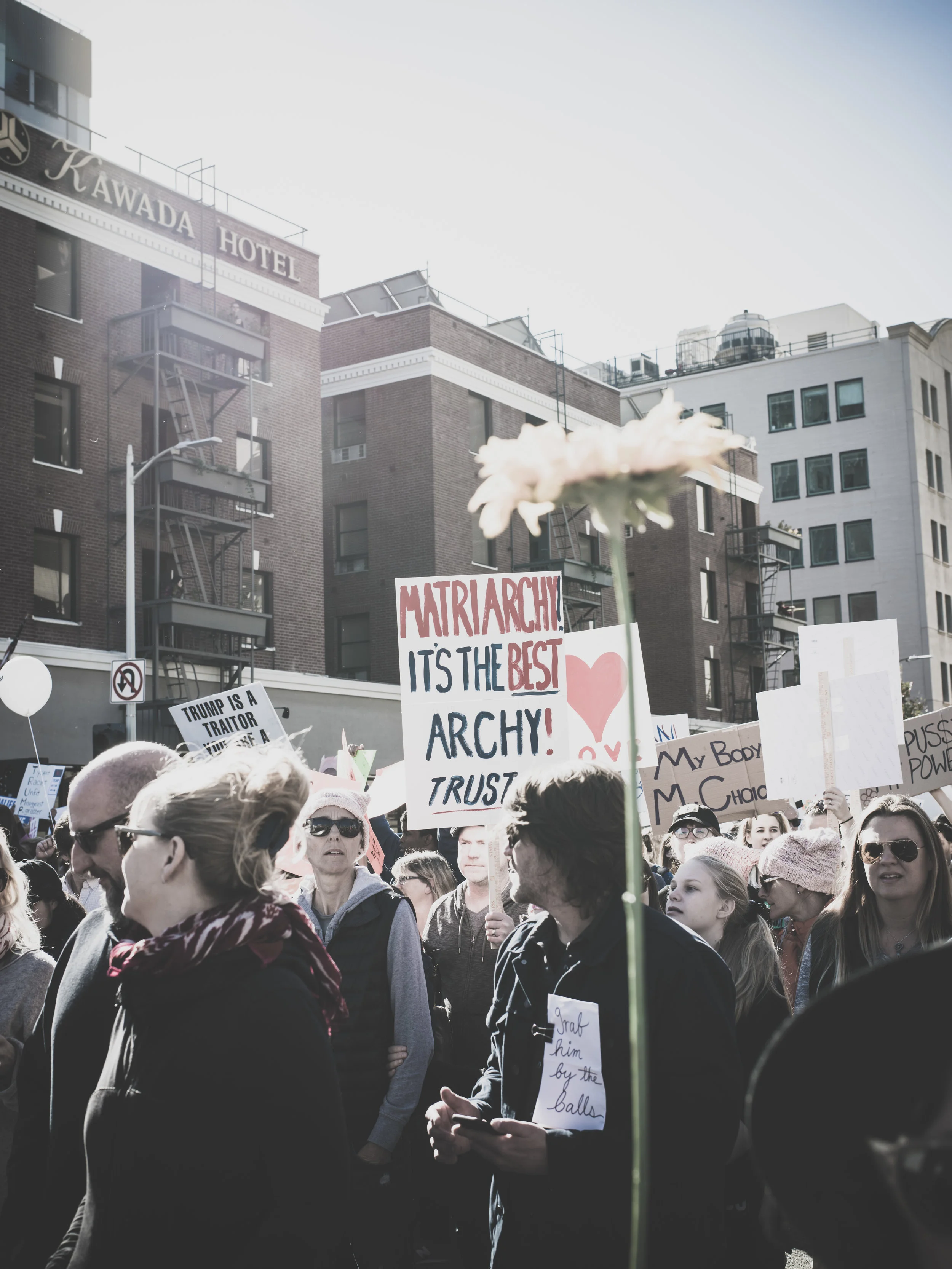 _IMG0064.jpg