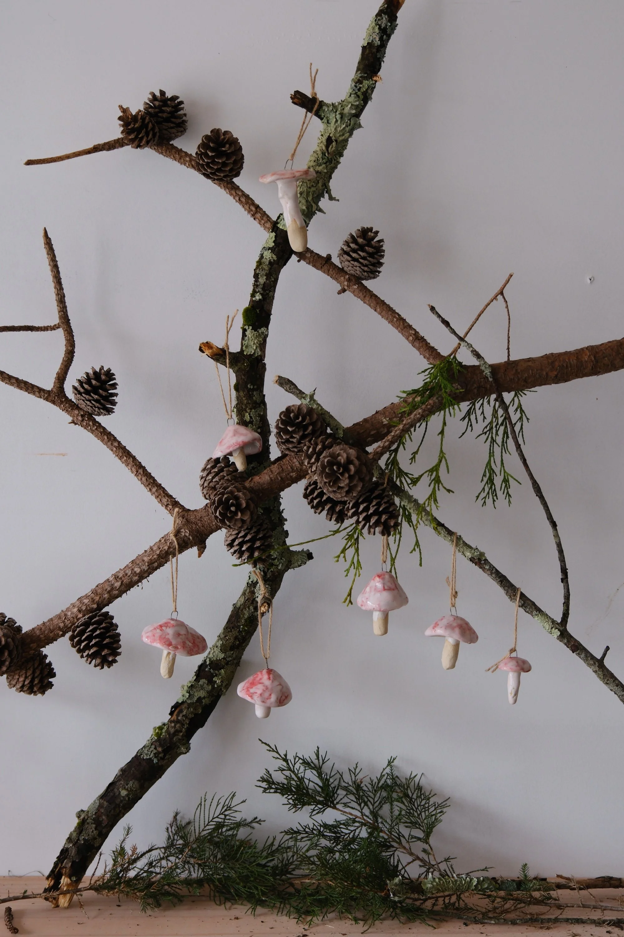 DSCF2389.JPG (Copy) (Copy)