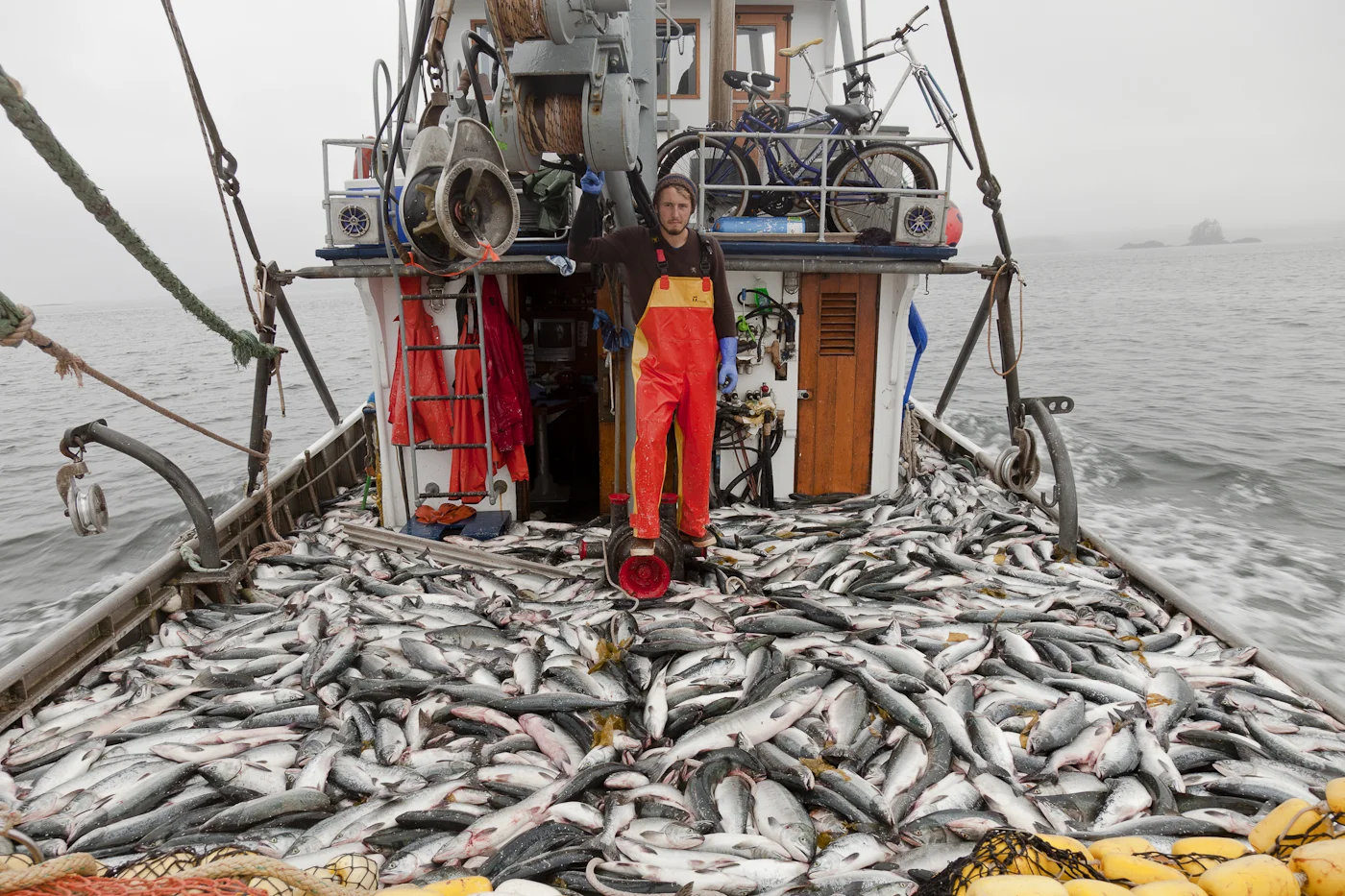 book2 - edit-1-13.jpg