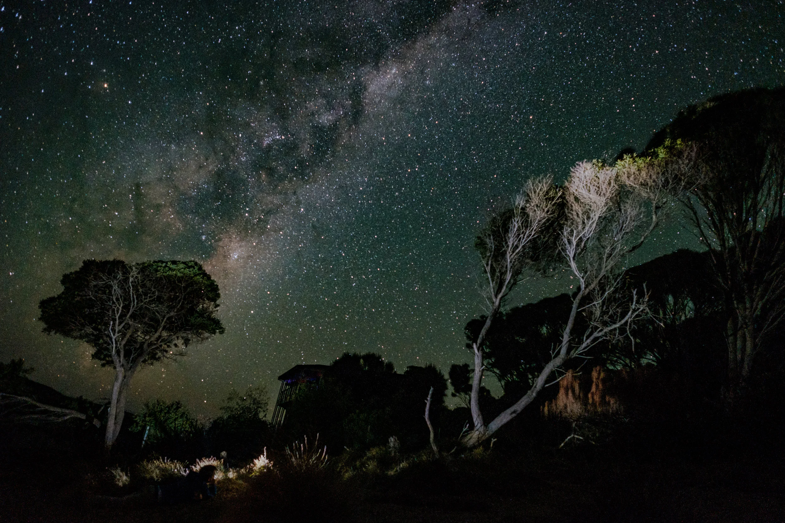 Night sky as seen from the garden of PALANA BEACH HOUSE