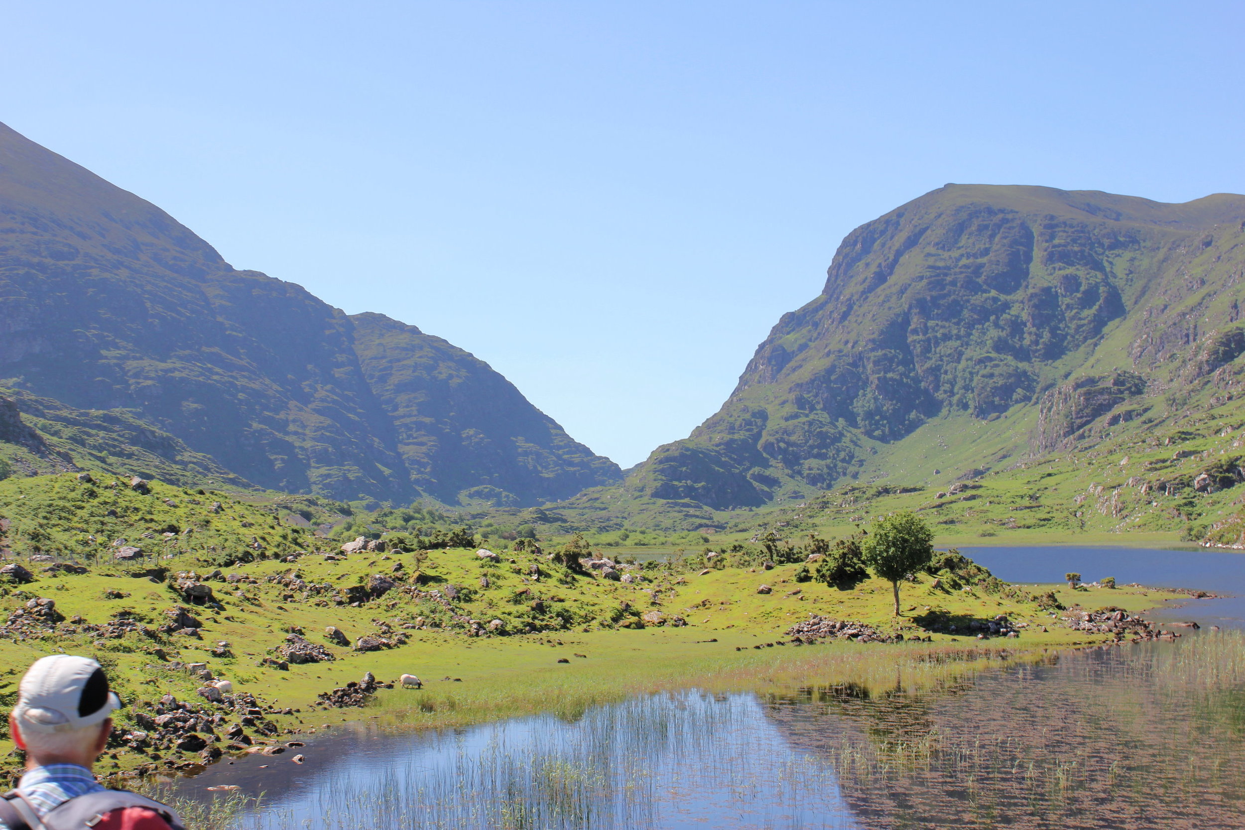 Ireland Gape of Dunloe.JPG