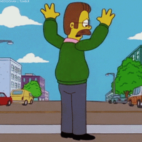 nedflandersnopants.gif