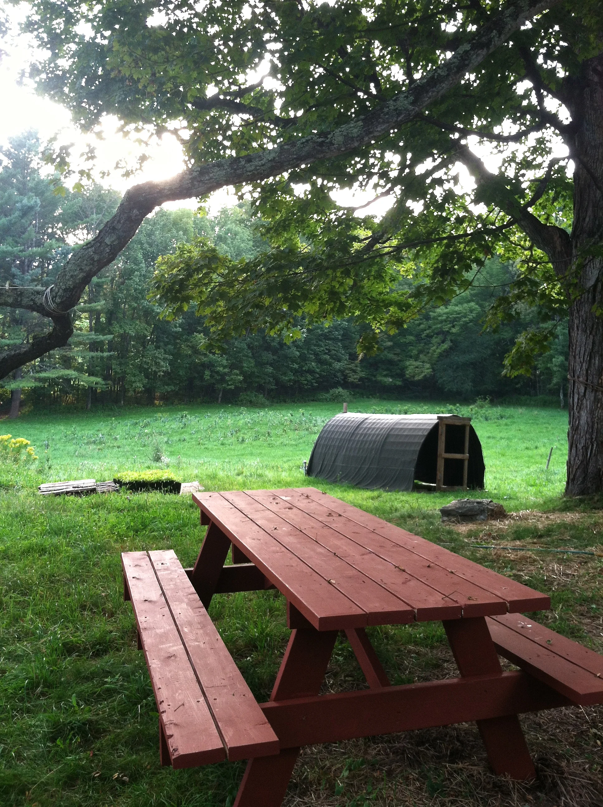 the table used not so often for picnics as for laundry, propagating woody plants, and building projects. Maybe this fall. 
