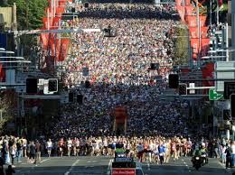 city 2 surf net.jpg