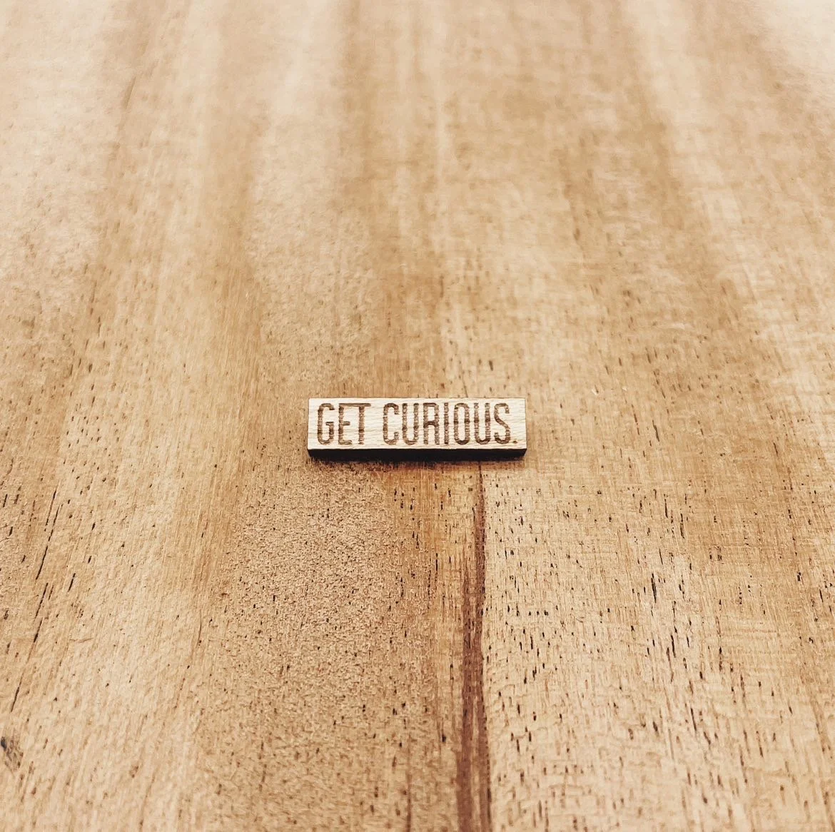 Get Curious Lapel Pin.JPG