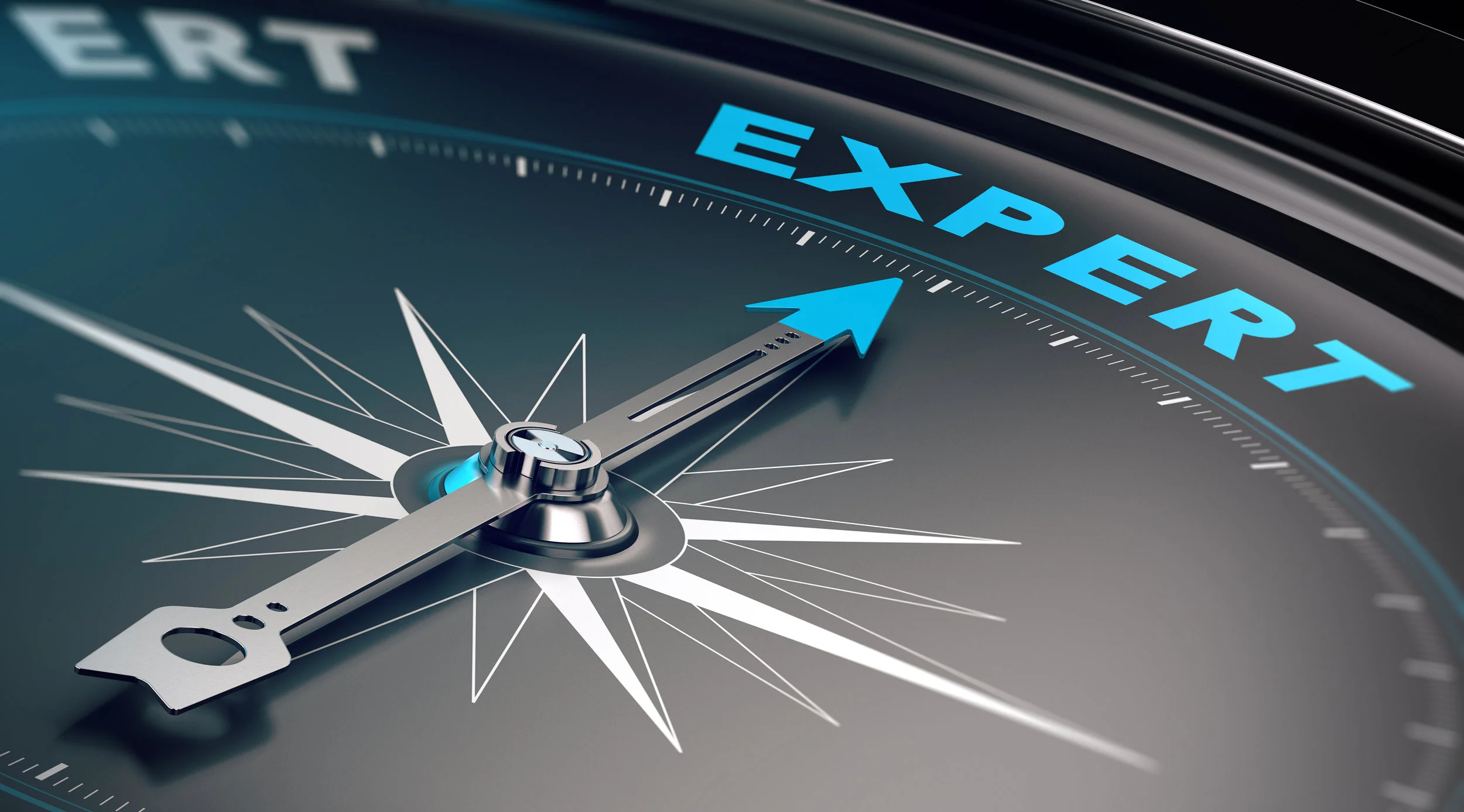 Experts.jpg