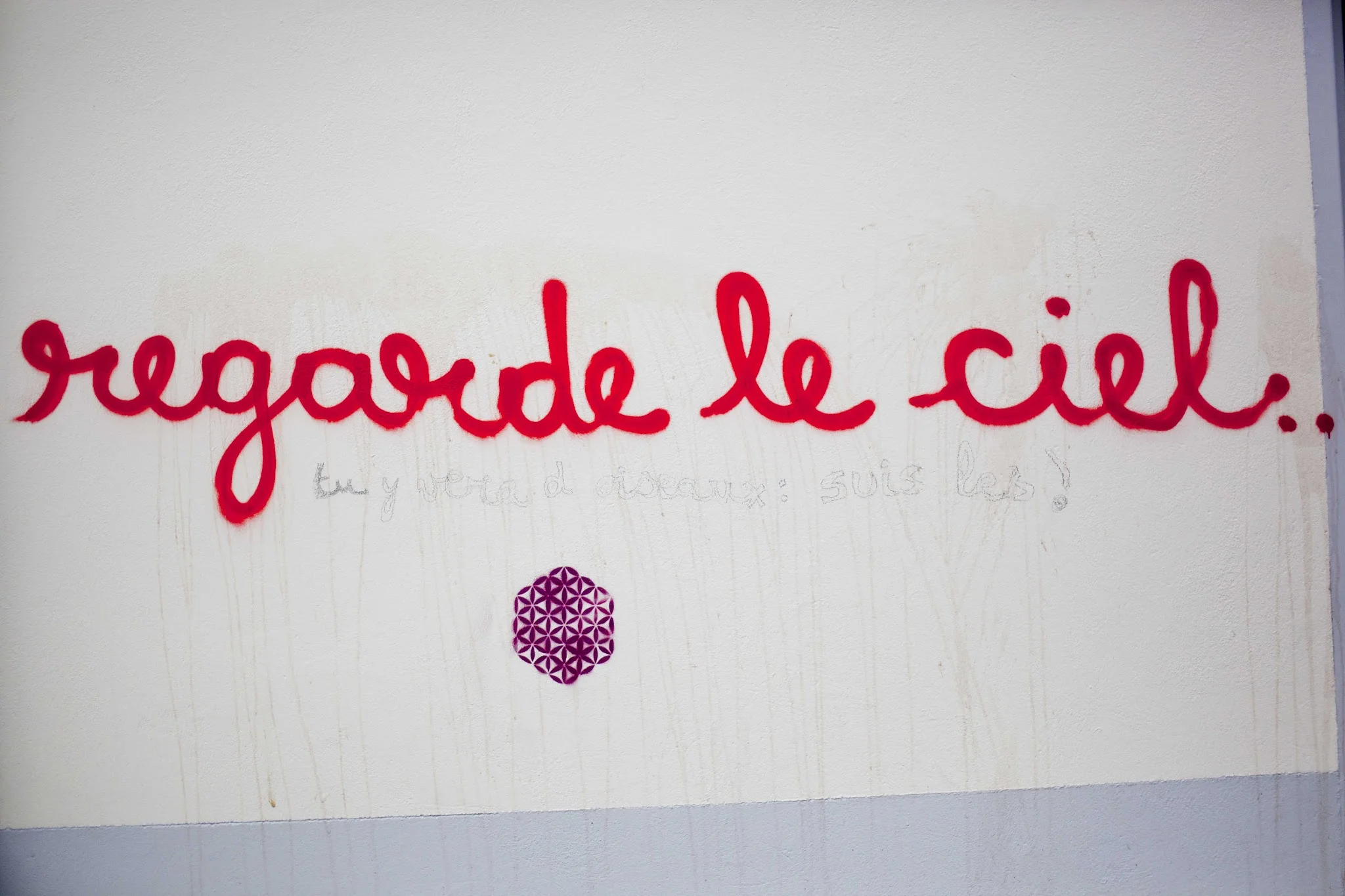 _MG_5418.jpg