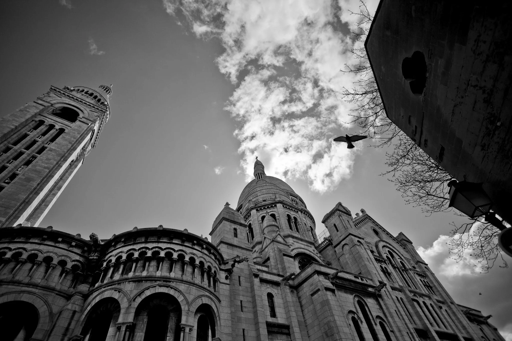 _MG_5481.jpg
