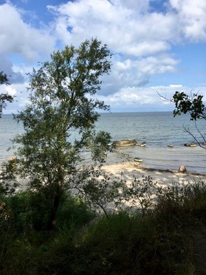 Tanz am Meer. Bildungsurlaub mit Sonia Rastelli Ausdruckstanz. Blick aus dem Tanzraum.jpg