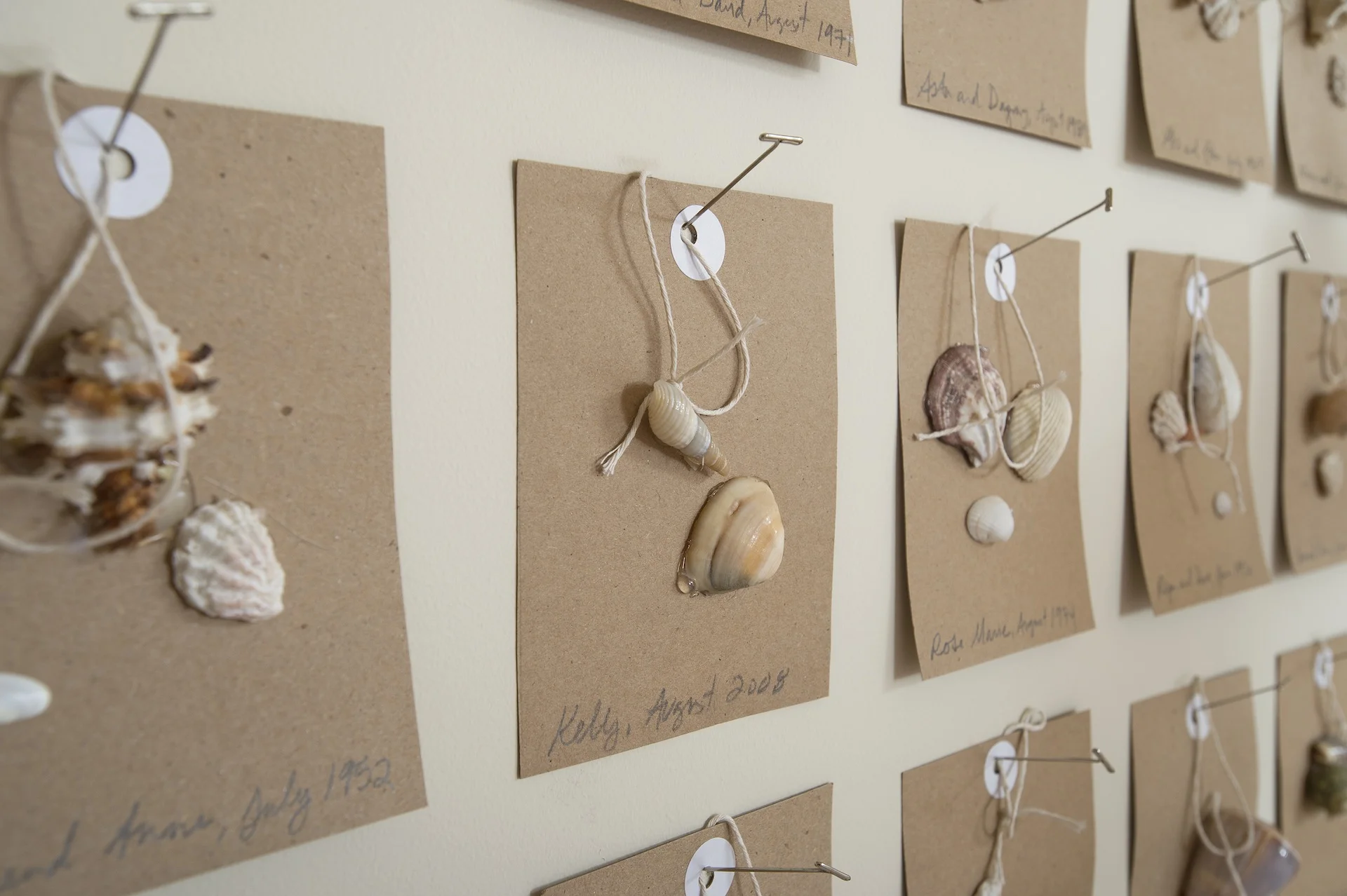 Shell Collection