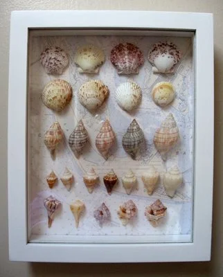 Sanibel Shadow Box